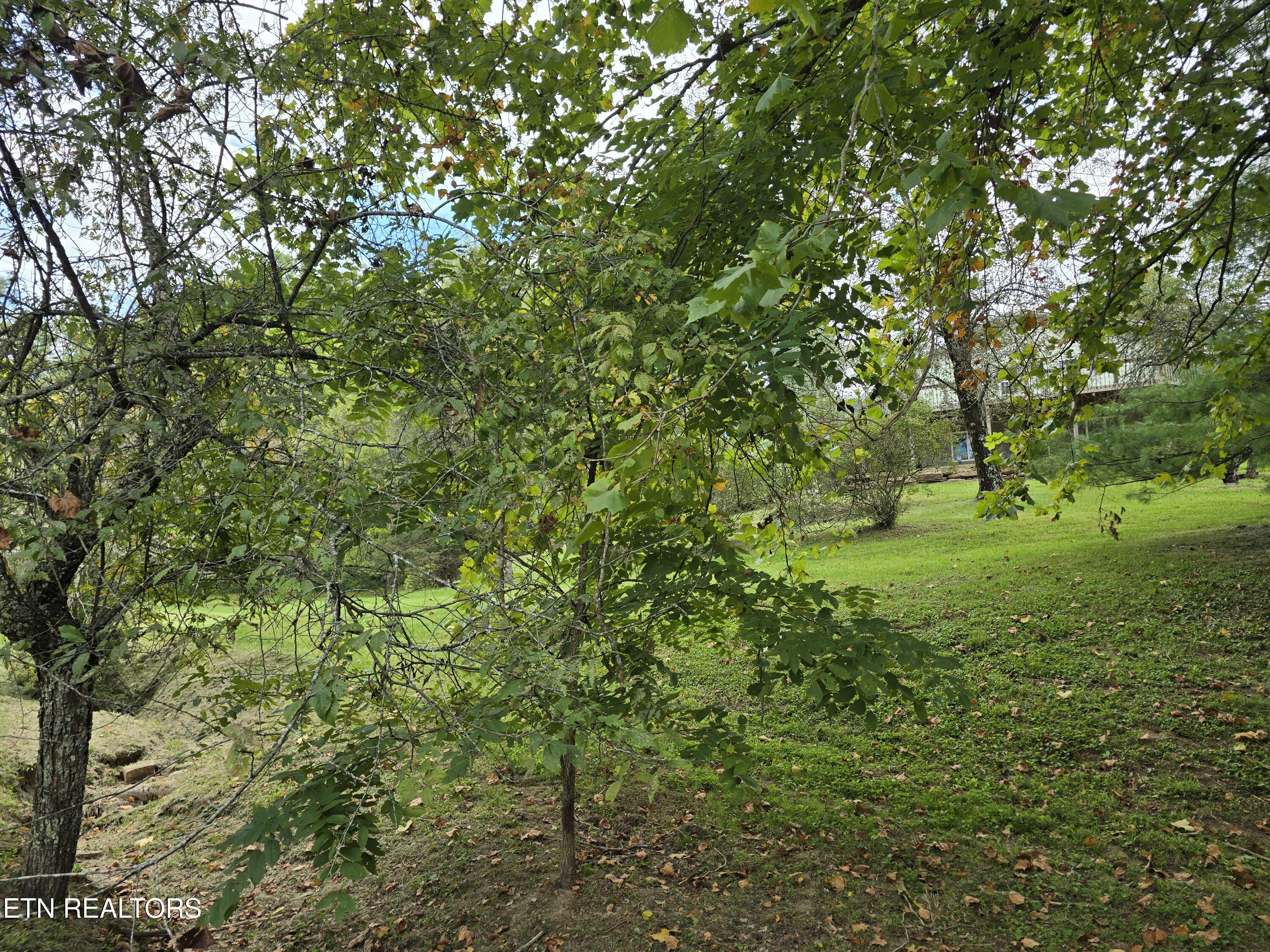 197 Wolfe Road Sneedville TN 37869