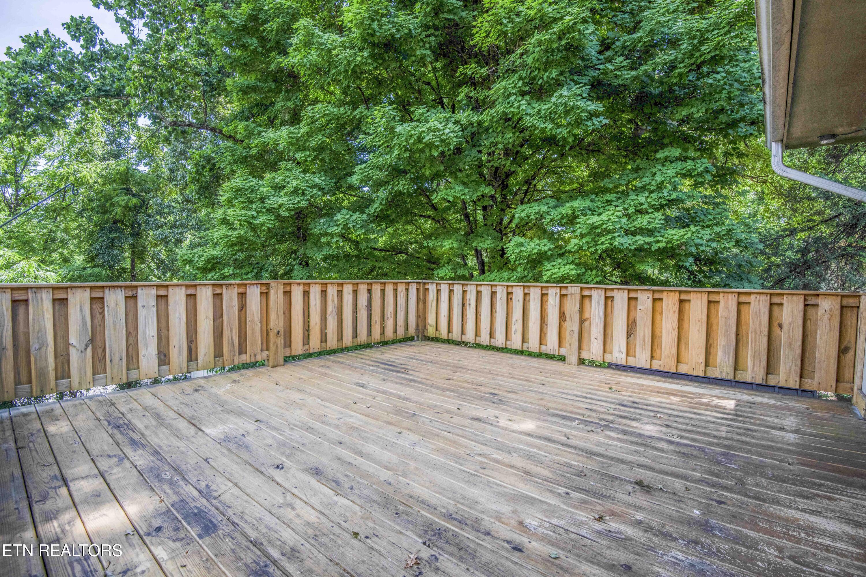 7512 Luscombe Drive Knoxville TN 37919