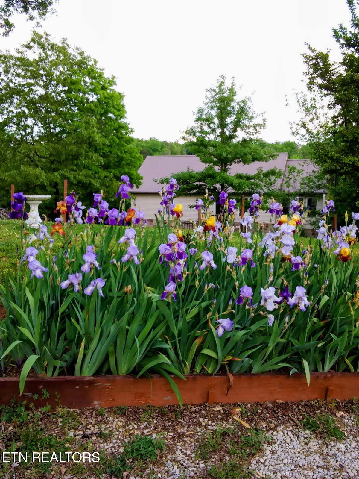 1381 Lake Front Drive Dandridge TN 37725