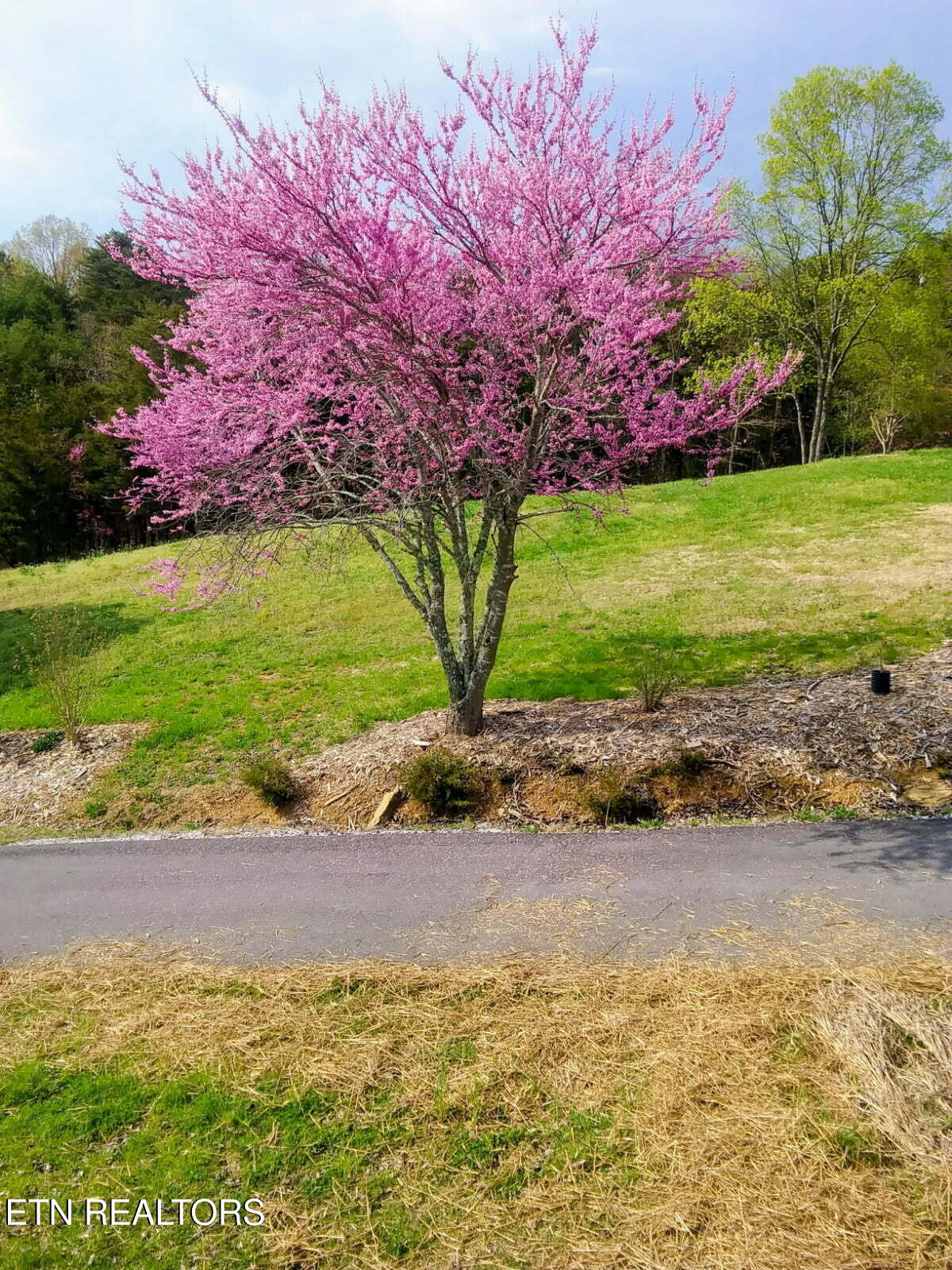 1381 Lake Front Drive Dandridge TN 37725