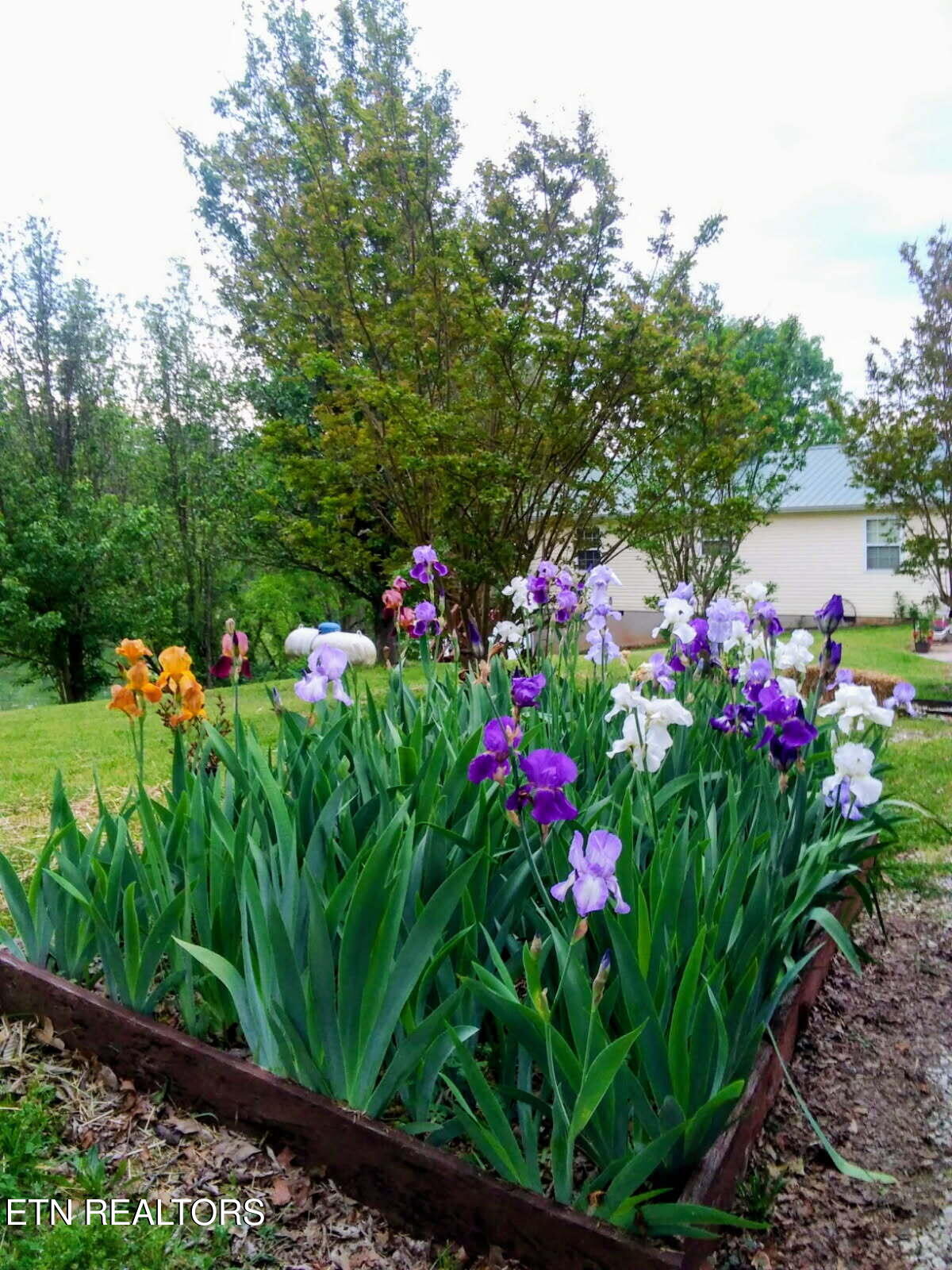 1381 Lake Front Drive Dandridge TN 37725