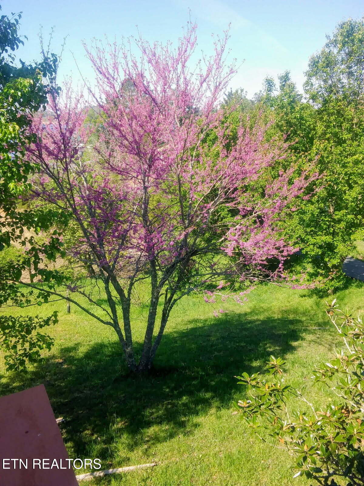 1381 Lake Front Drive Dandridge TN 37725