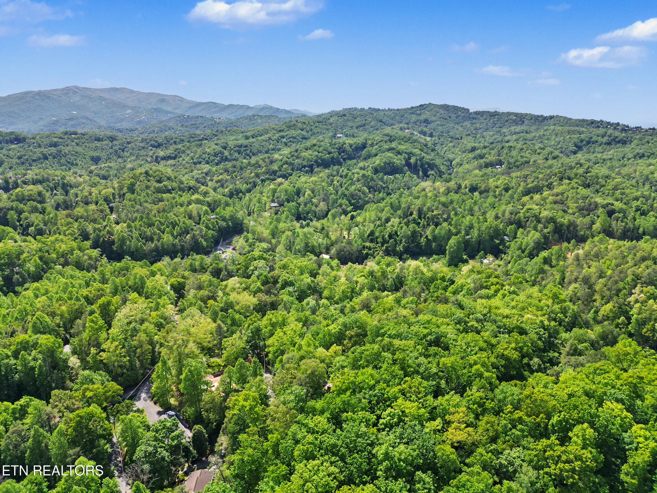 615 N Ownby Drive Gatlinburg TN 37738