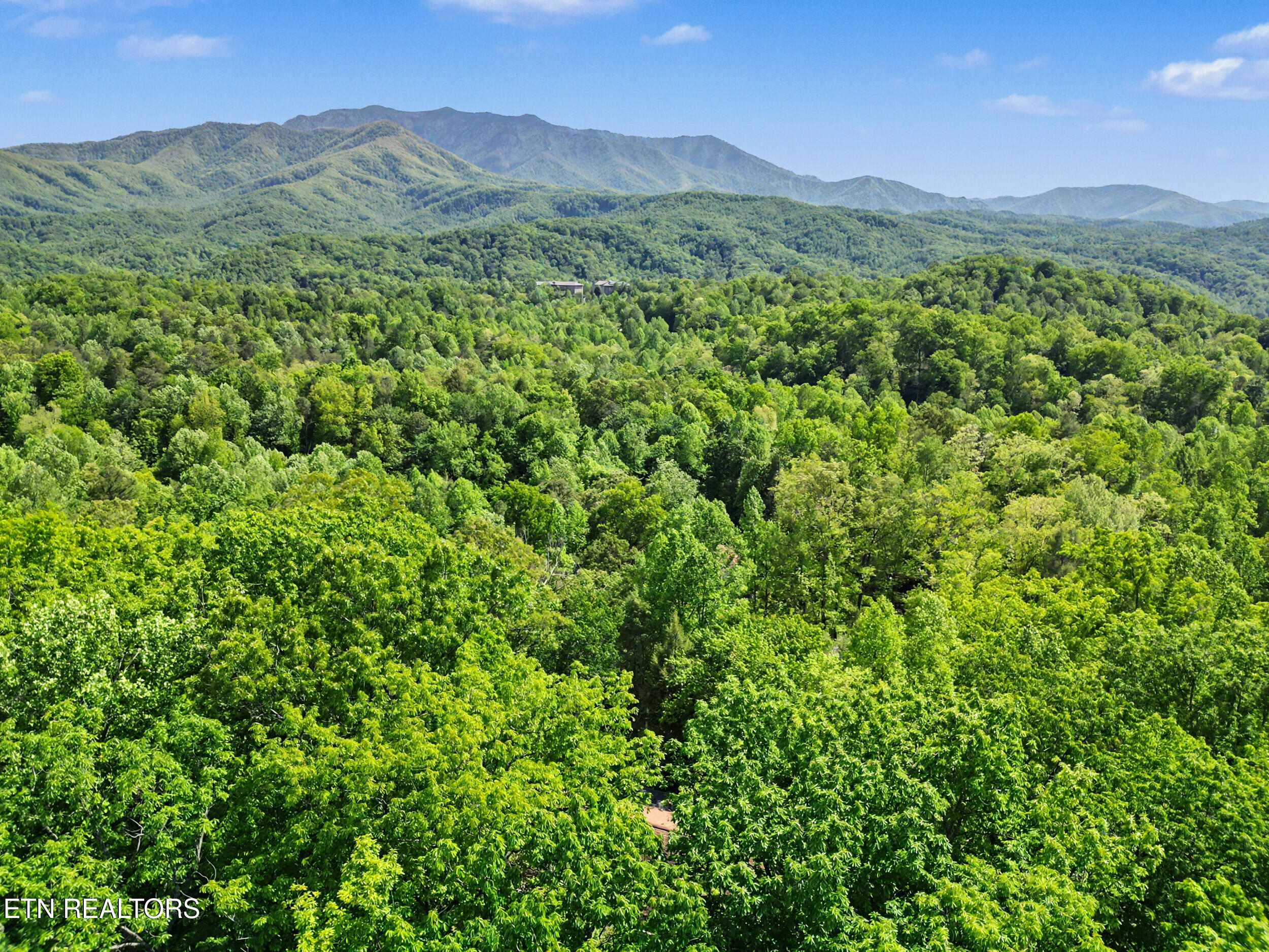 615 N Ownby Drive Gatlinburg TN 37738