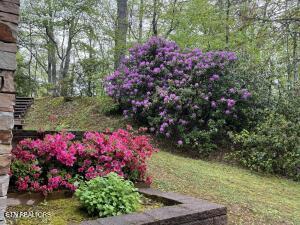 615 N Ownby Drive Gatlinburg TN 37738