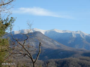 615 N Ownby Drive Gatlinburg TN 37738