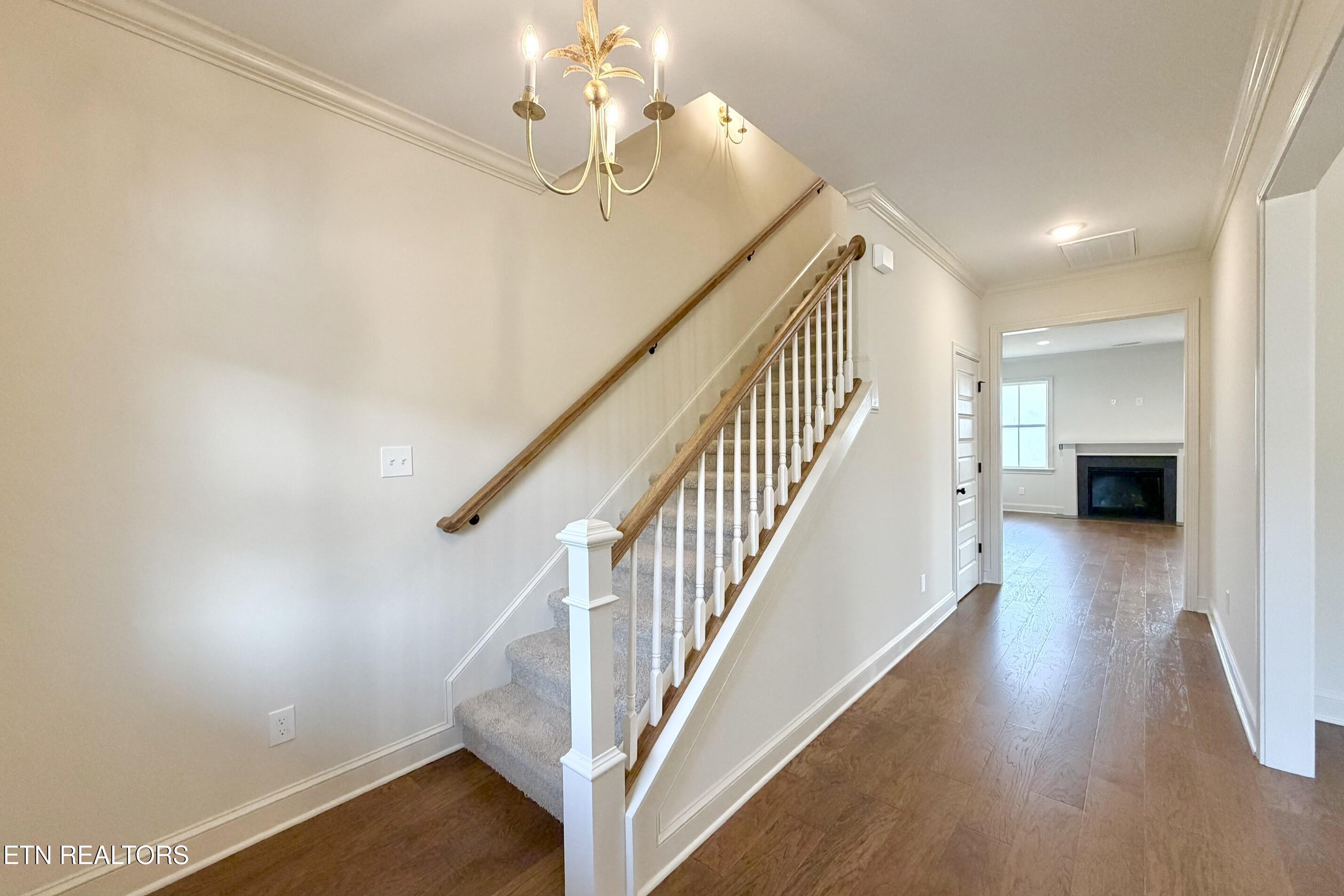 8915 Queensdale Lane Knoxville TN 37924