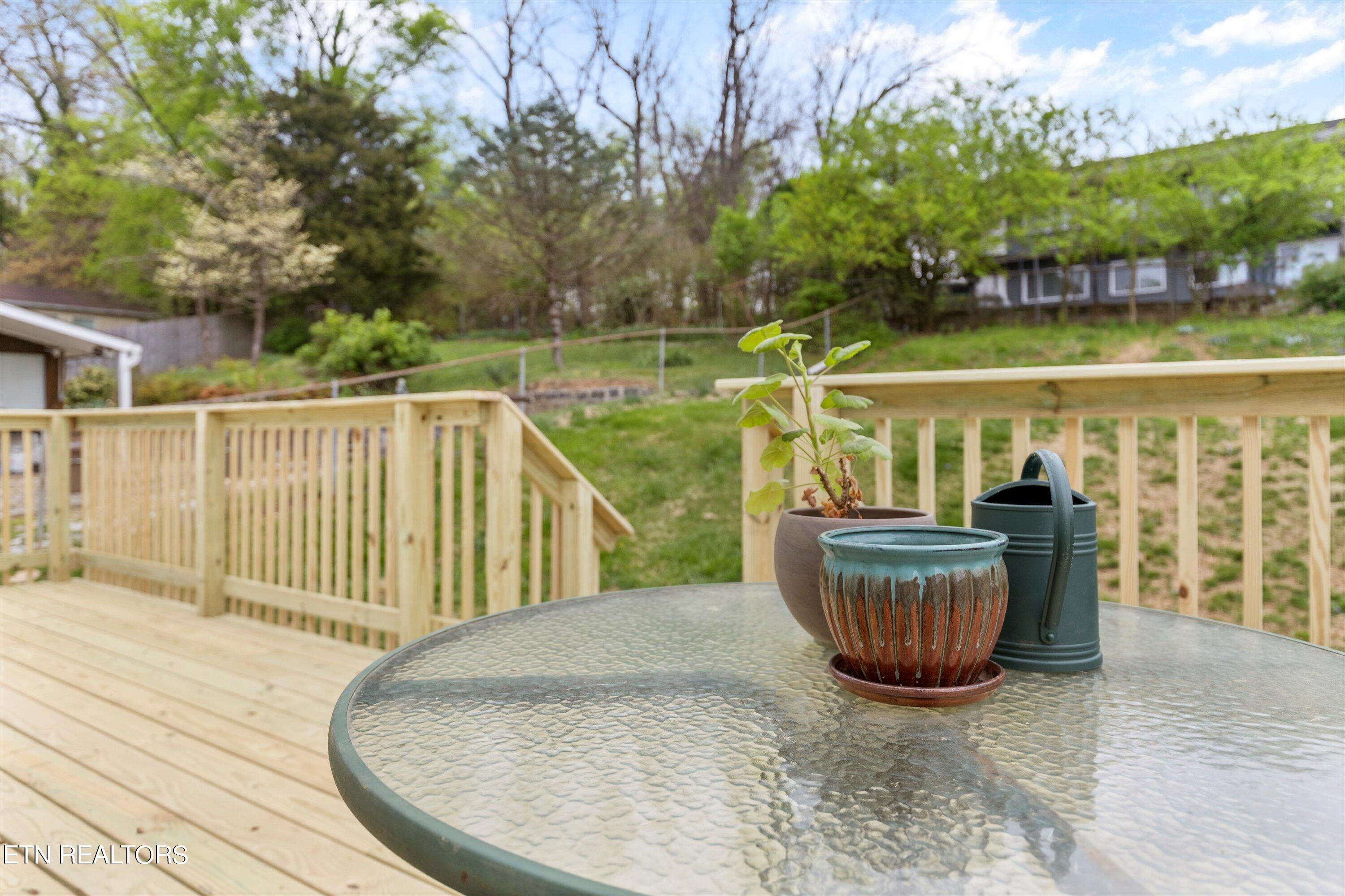 1534 Branson Avenue Knoxville TN 37917