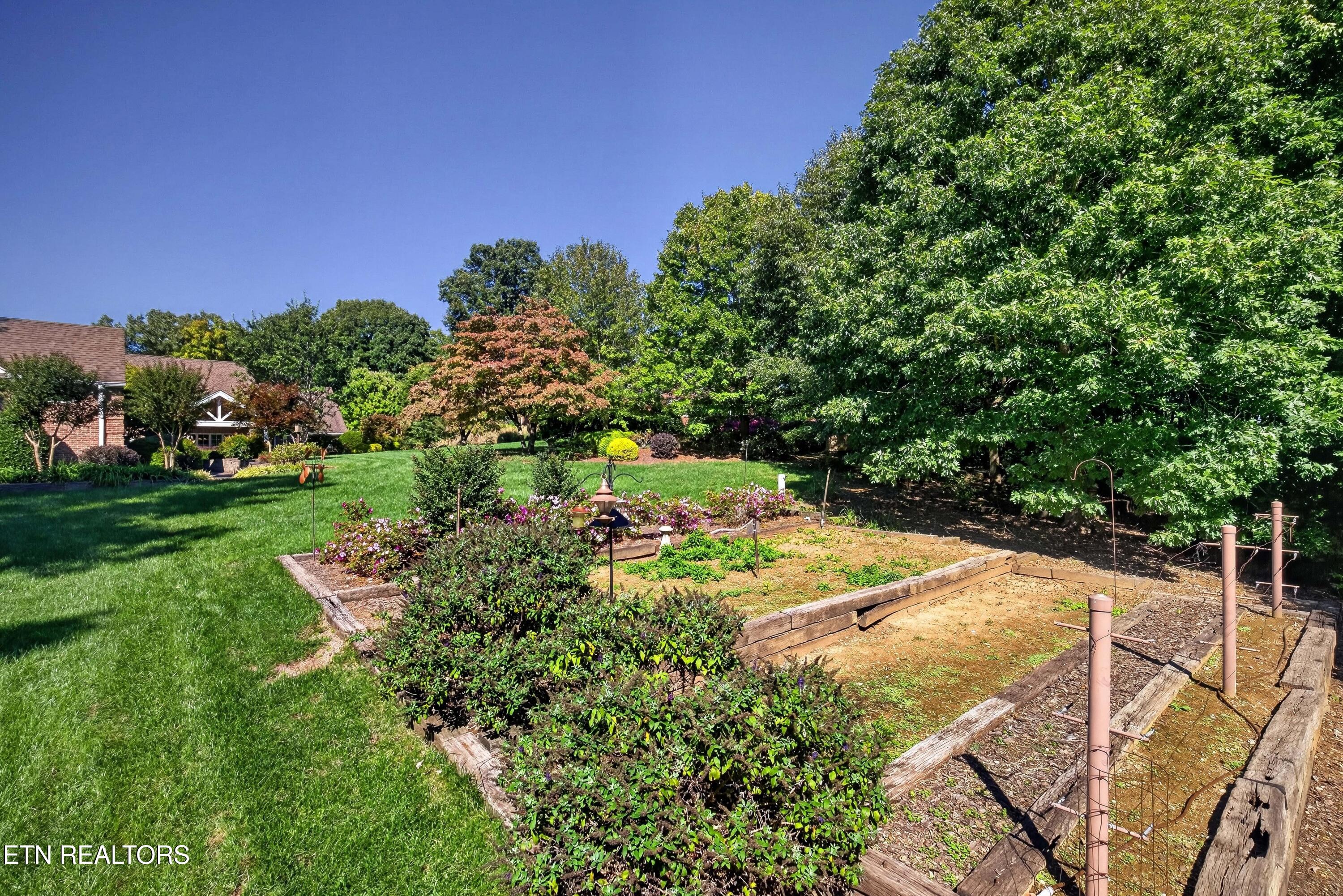 10110 Loma Drive Knoxville TN 37922