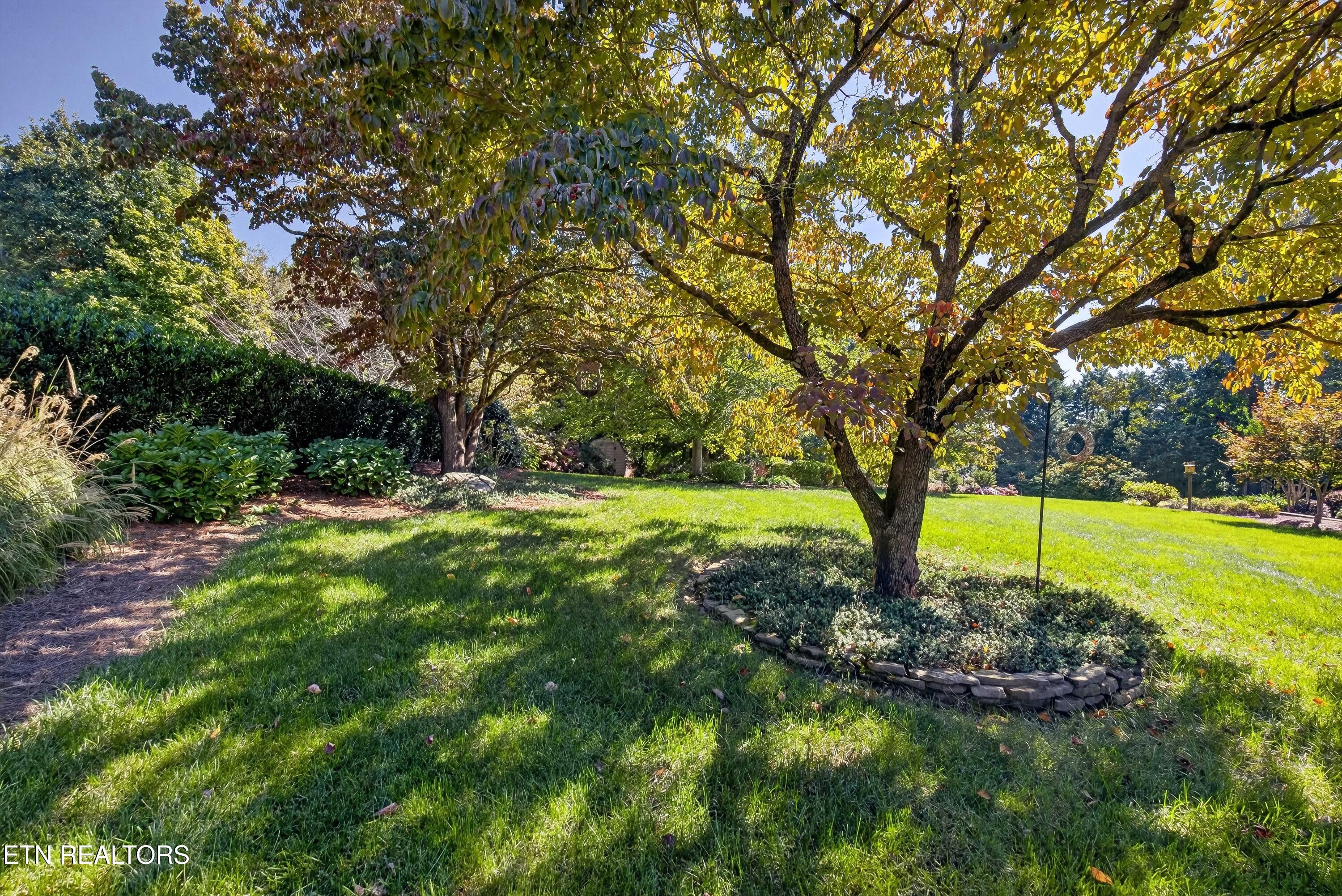 10110 Loma Drive Knoxville TN 37922