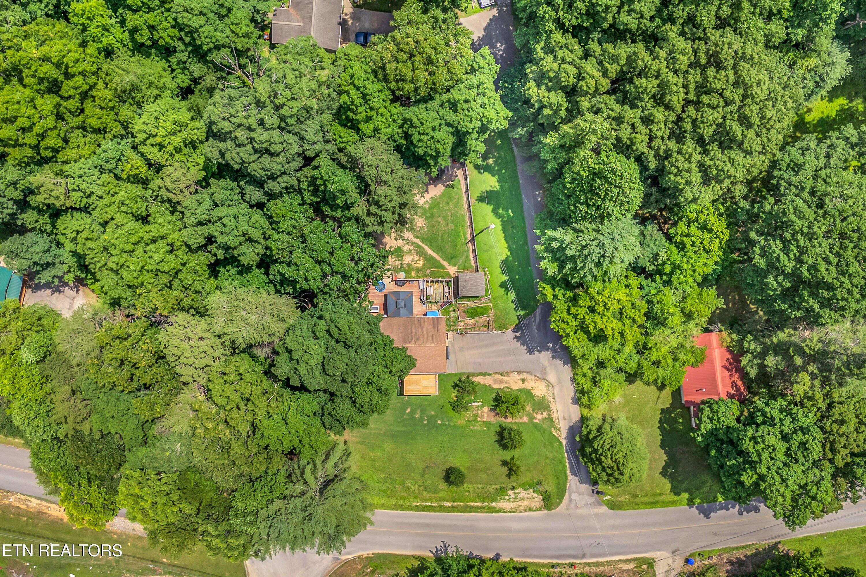 131 Delozier Lane Rockwood TN 37854