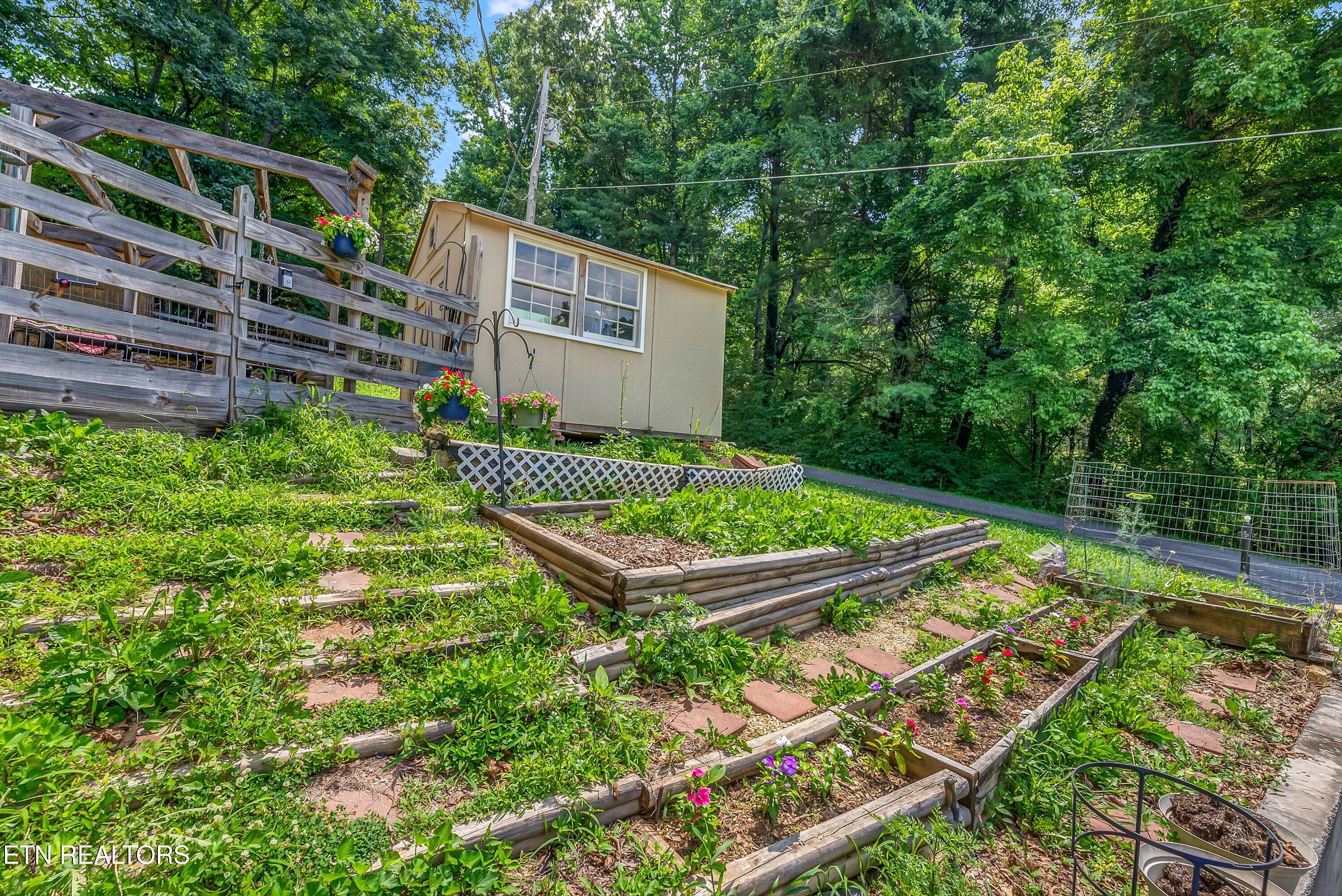 131 Delozier Lane Rockwood TN 37854