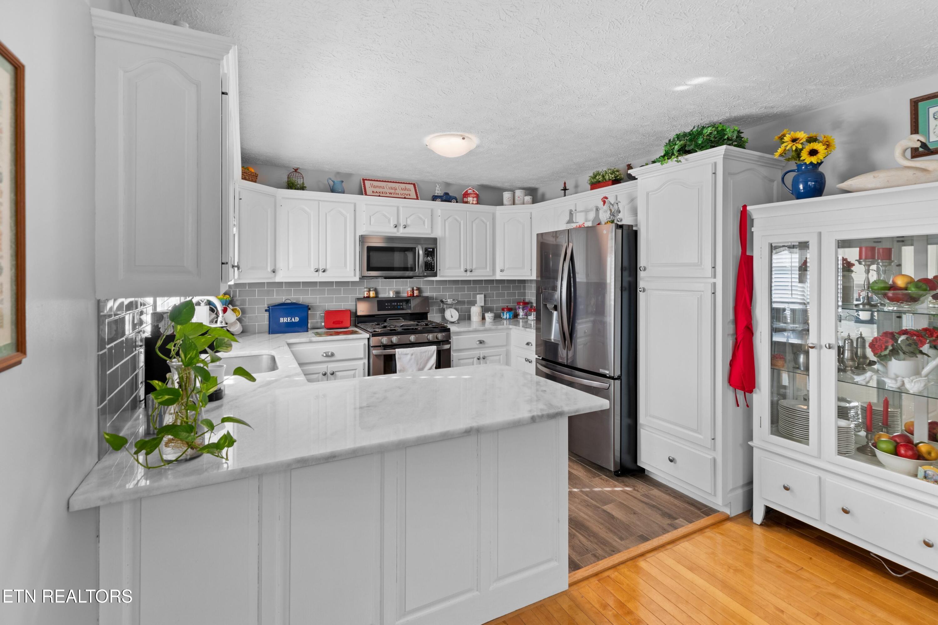 807 Mockingbird Court Mount Carmel TN 37645