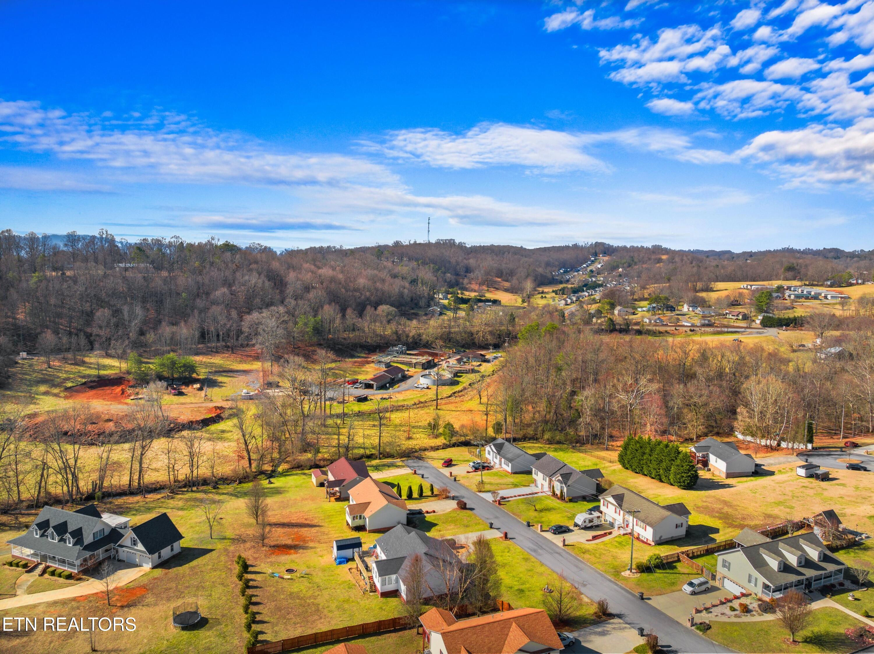 807 Mockingbird Court Mount Carmel TN 37645