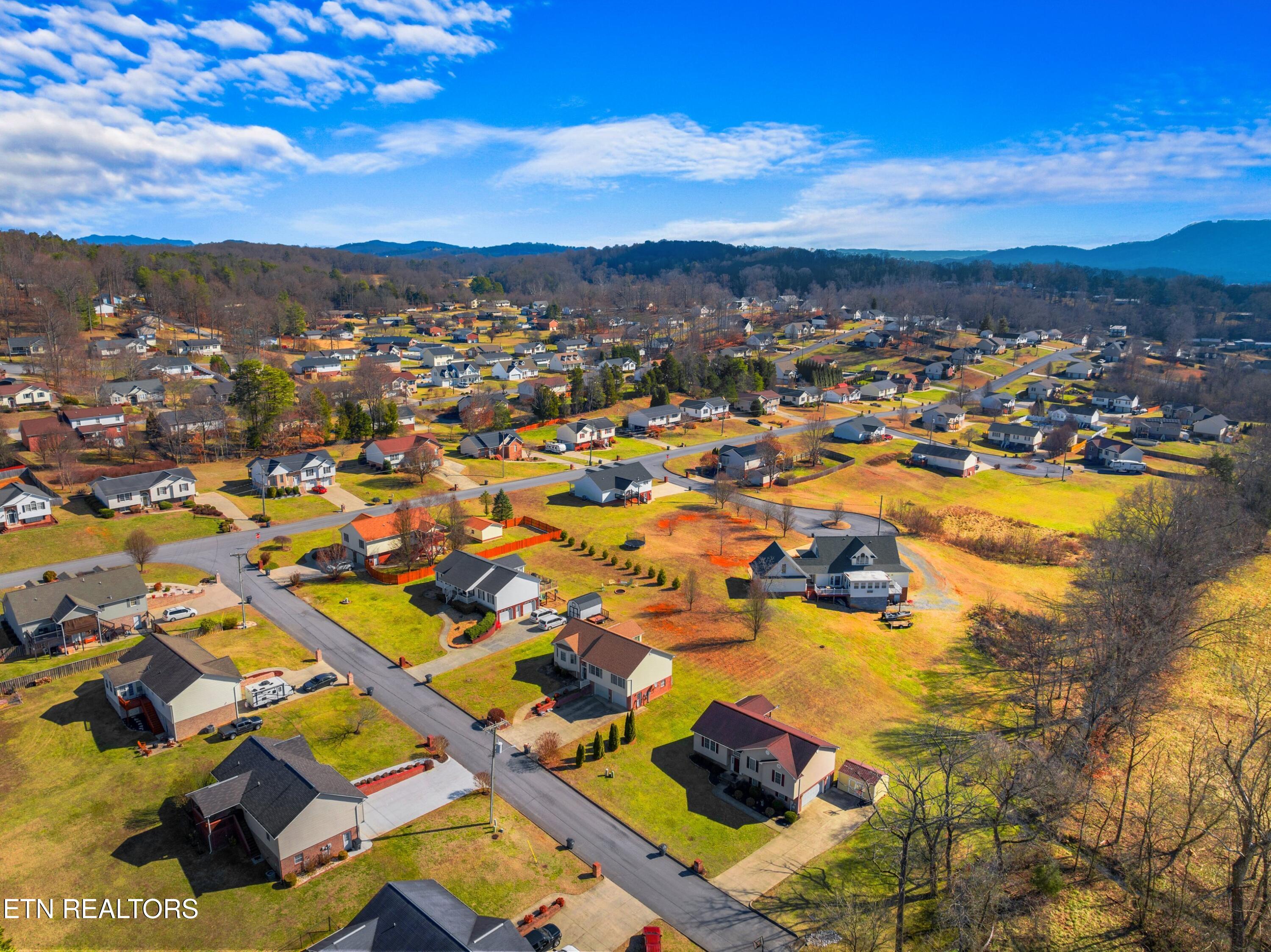 807 Mockingbird Court Mount Carmel TN 37645