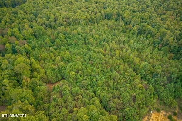 500 Moonlight Trail Sparta TN 38583