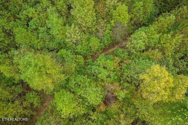 500 Moonlight Trail Sparta TN 38583