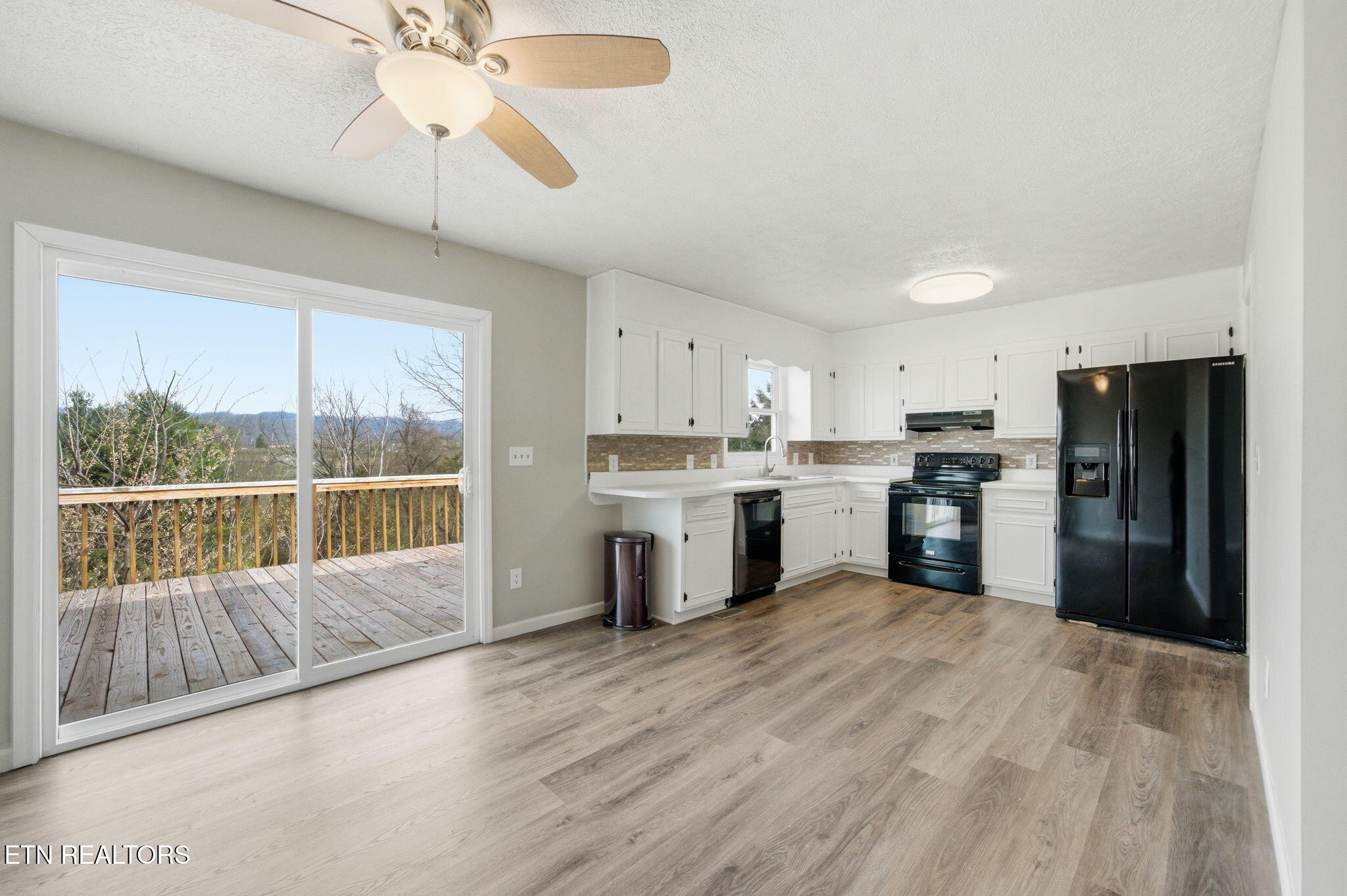 905 S Sherbrooke Drive Mount Carmel TN 37645