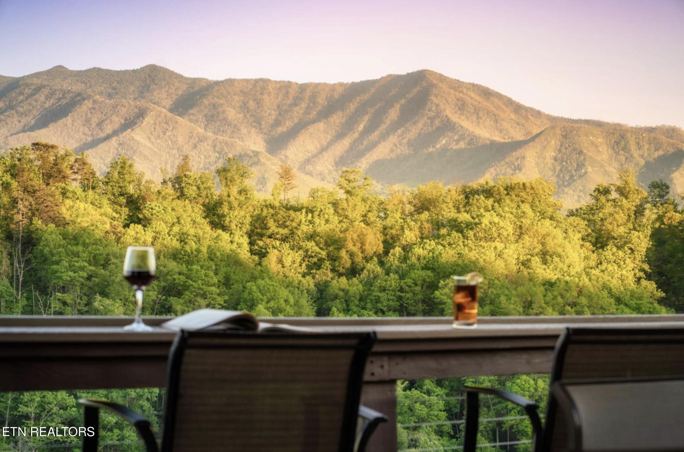 811 Sourwood Drive Gatlinburg TN 37738