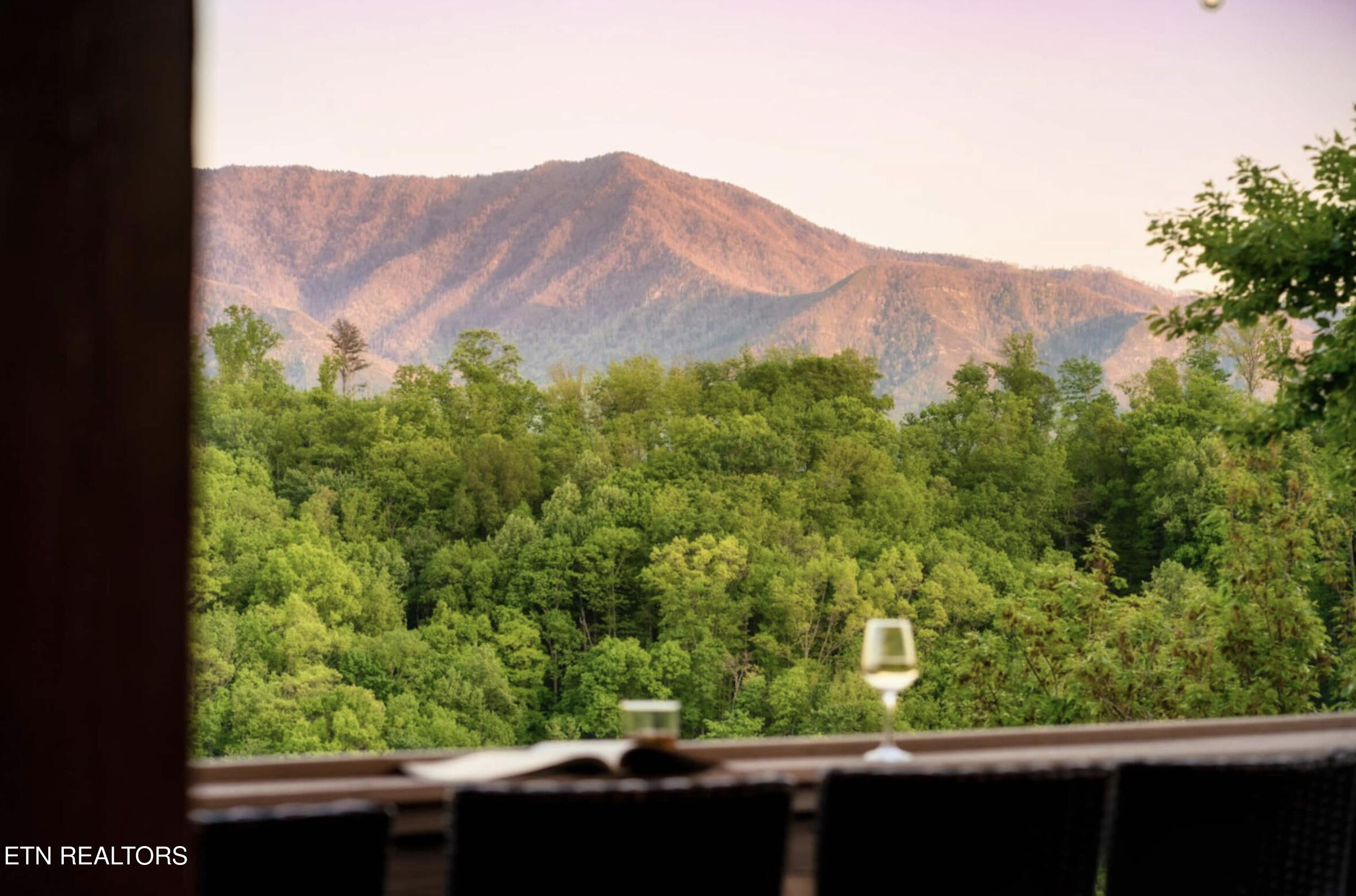 811 Sourwood Drive Gatlinburg TN 37738