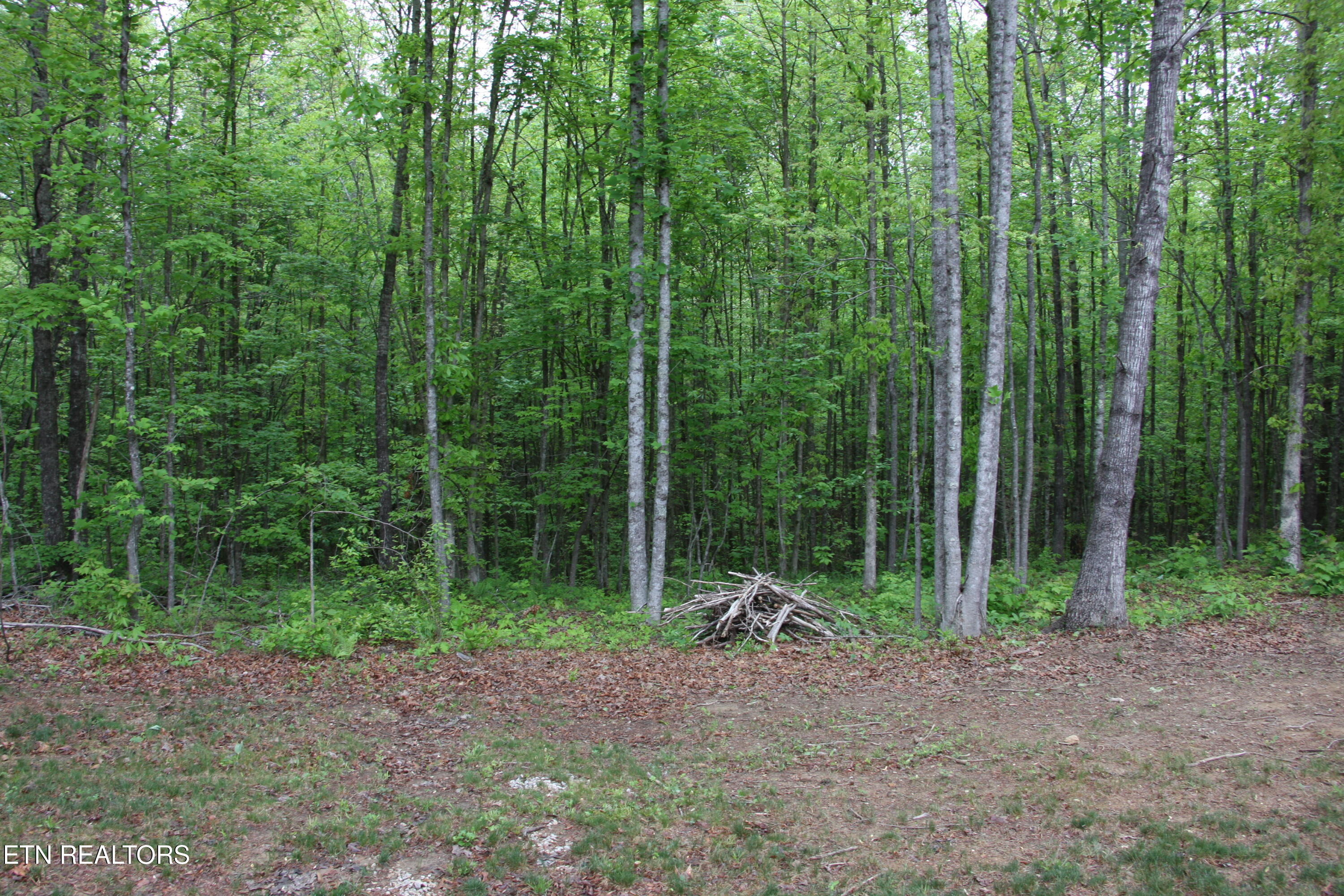 154 Copley Cemetery Road Jamestown TN 38556
