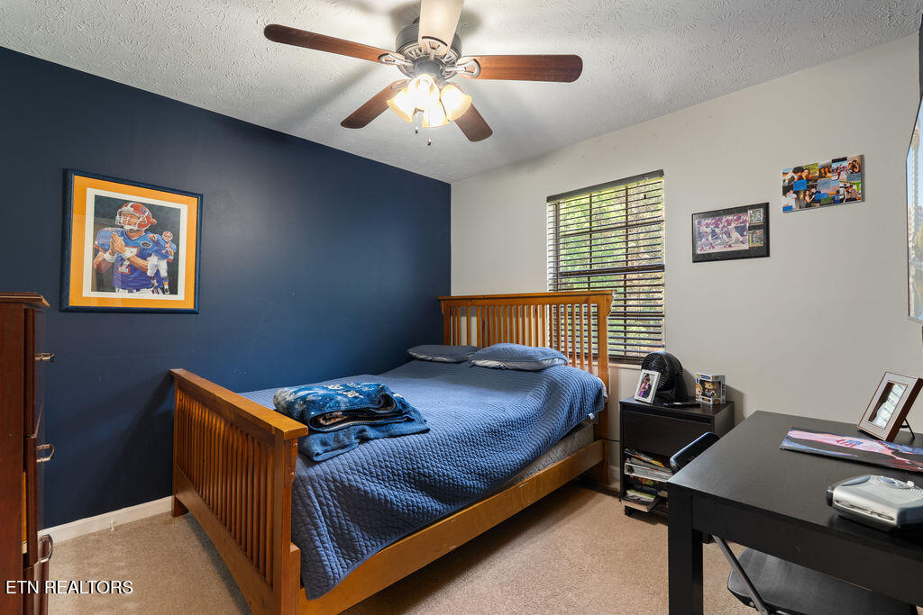 3709 Holgate Lane Powell TN 37849