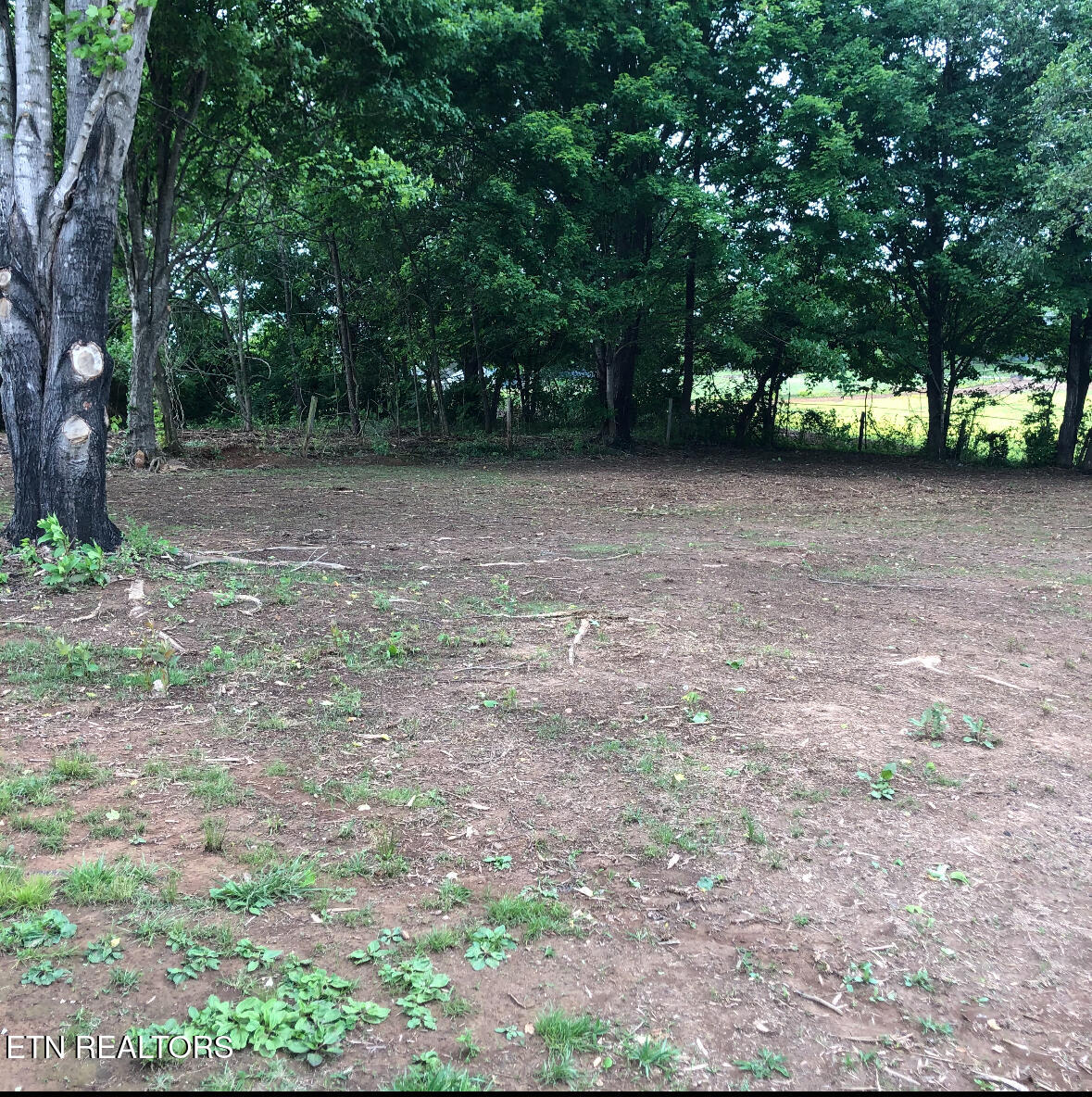 7521 E Emory Road Corryton TN 37721