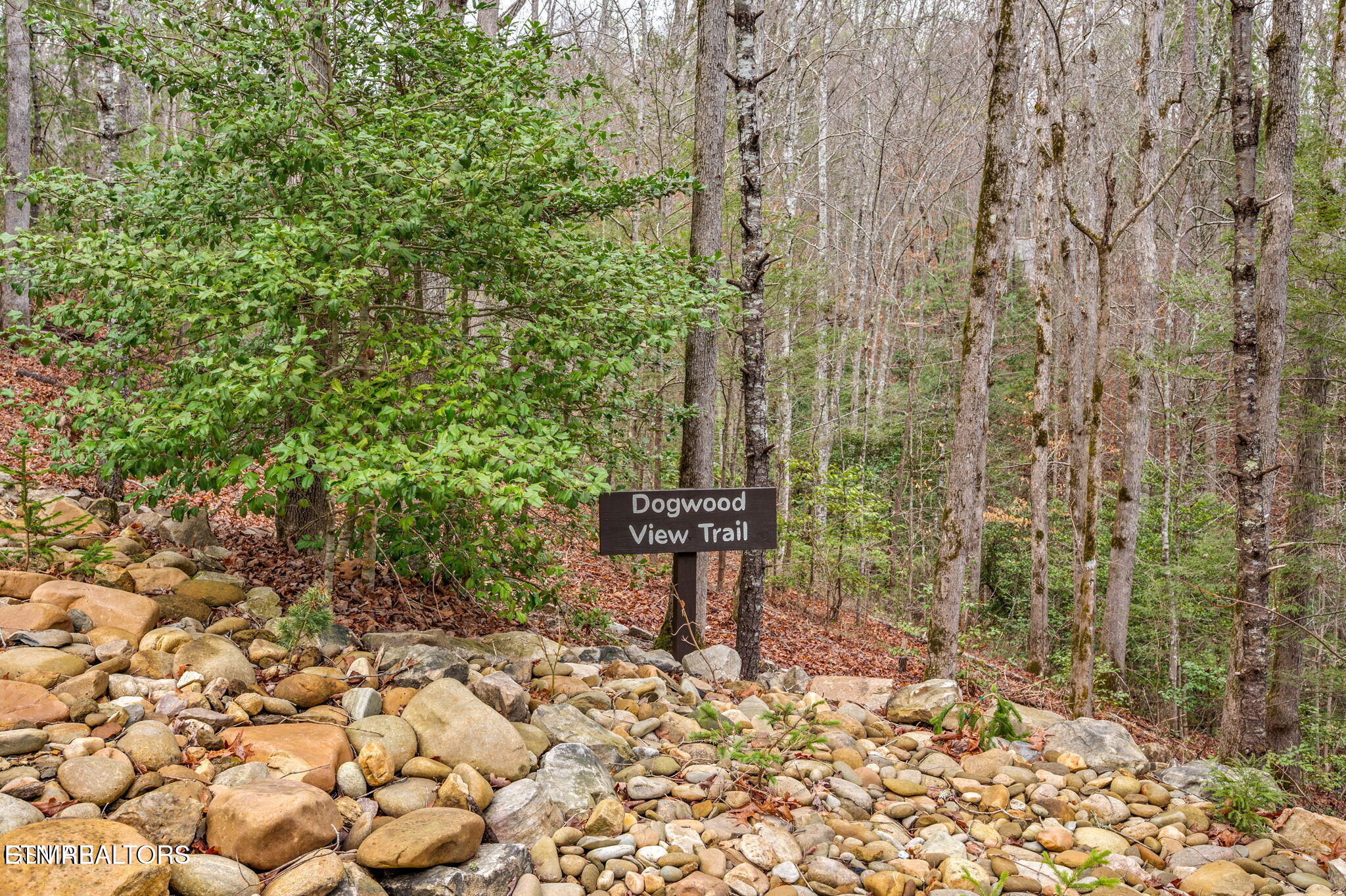 1903 Waters End Road Walland TN 37886