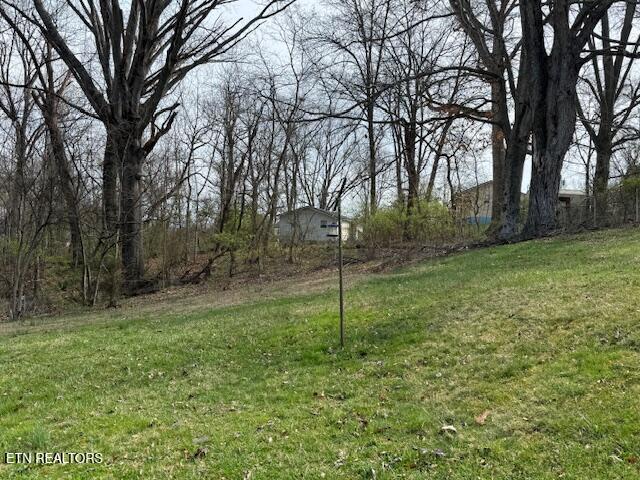 1108 N Barton Street Johnson City TN 37604