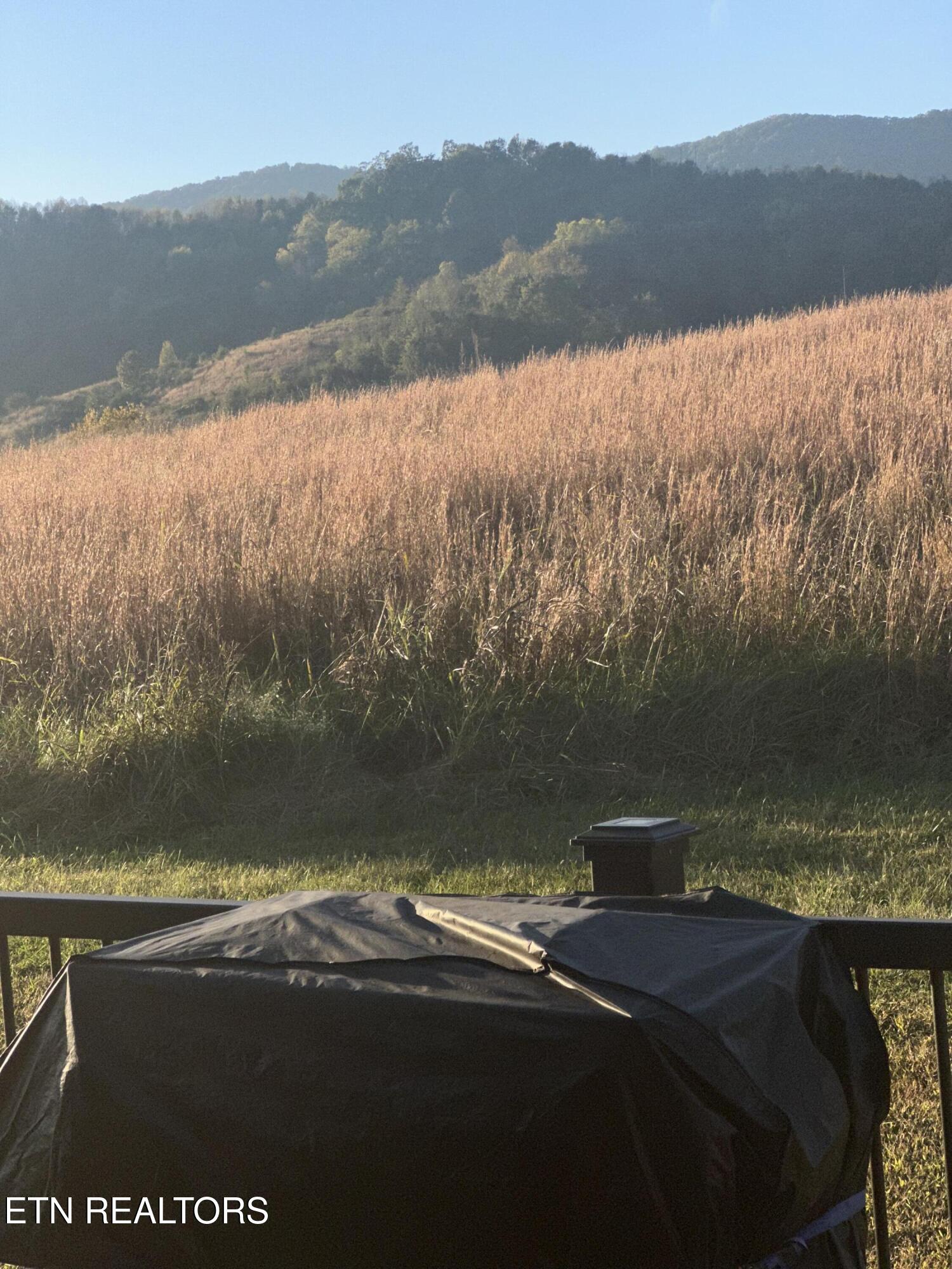 115 Starling Lane Speedwell TN 37870