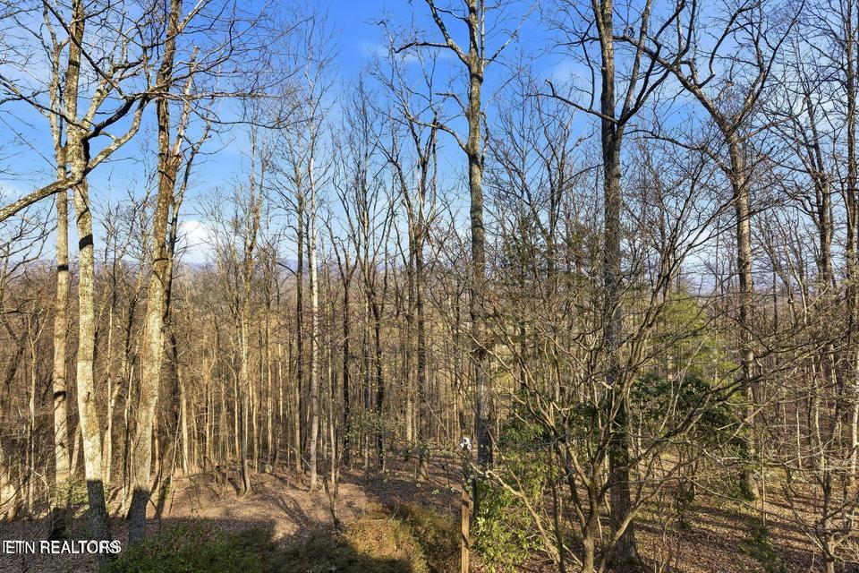 152 Whippoorwill Drive Oak Ridge TN 37830