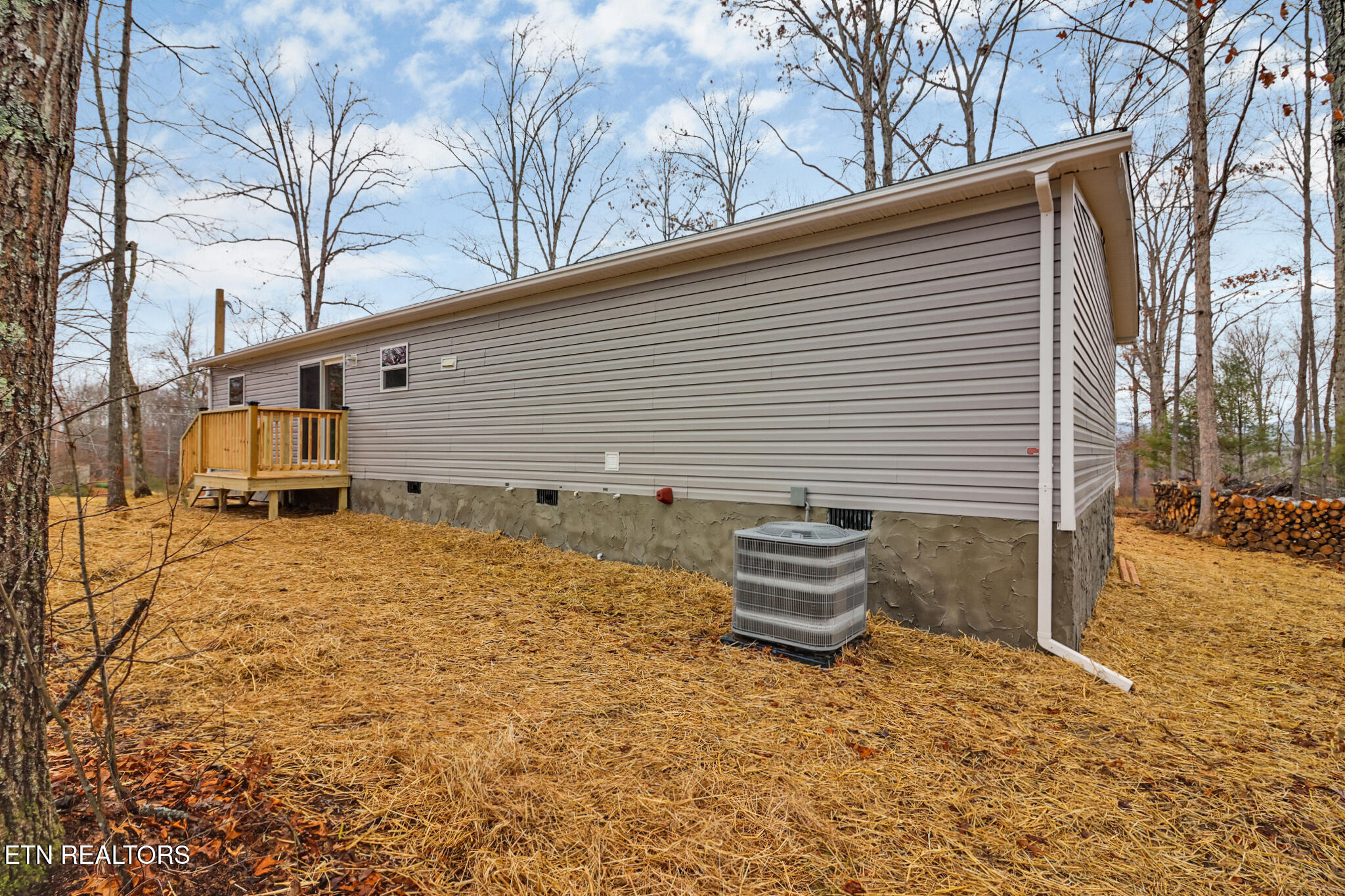 171 Dakota Trail Rockwood TN 37854