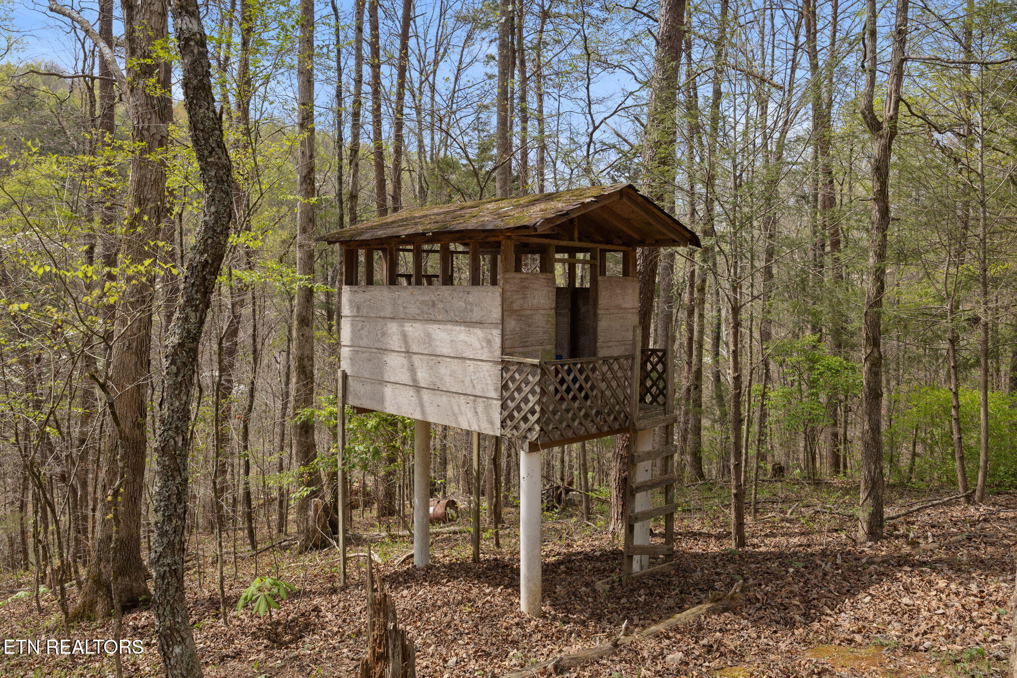 258 Marina Lane Lafollette TN 37766