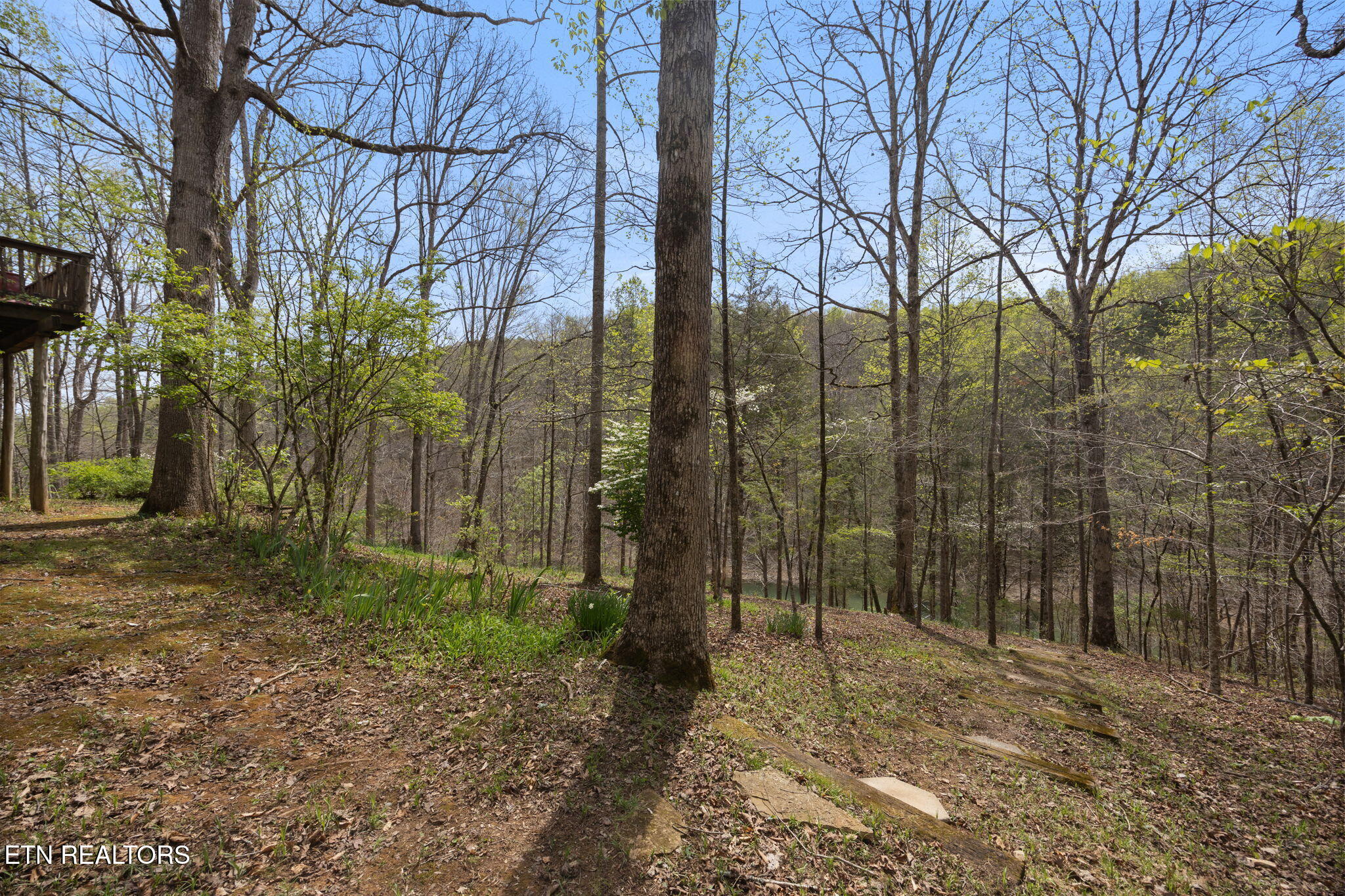 258 Marina Lane Lafollette TN 37766