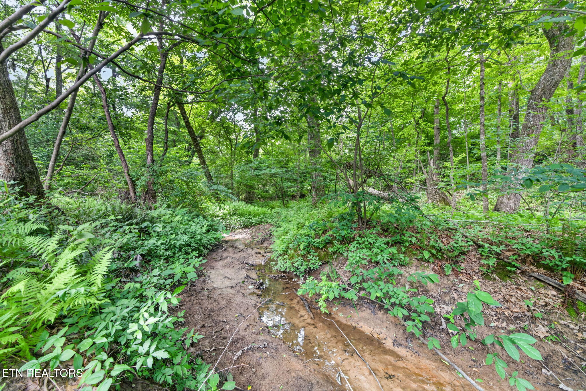 301 Hilltop Drive Crossville TN 38555