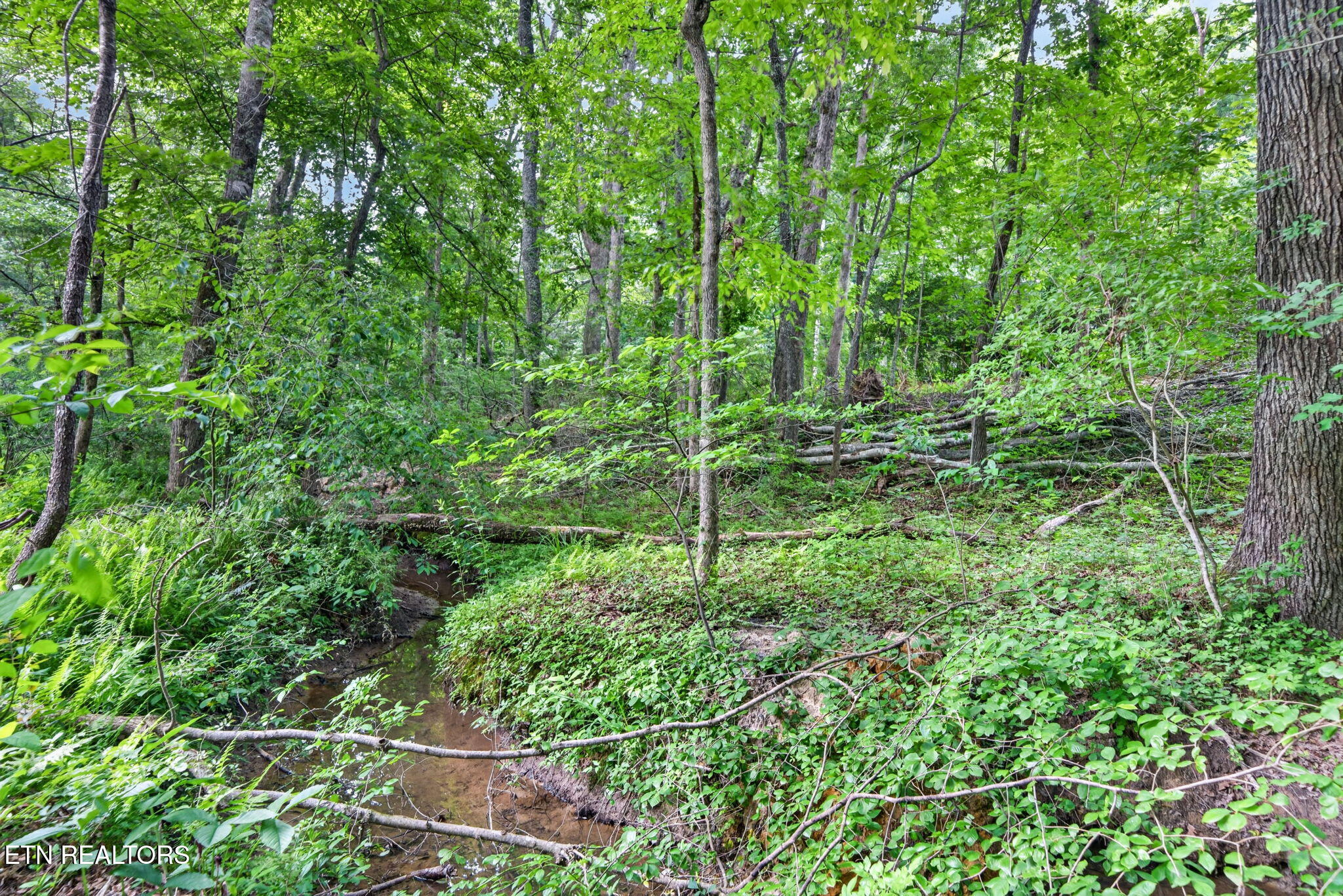 301 Hilltop Drive Crossville TN 38555