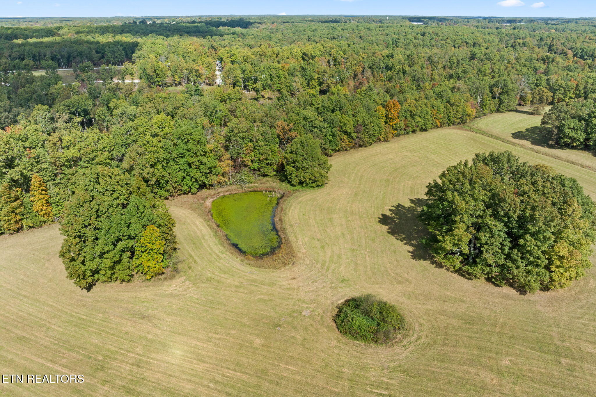 384 Miller Court Crossville TN 38571