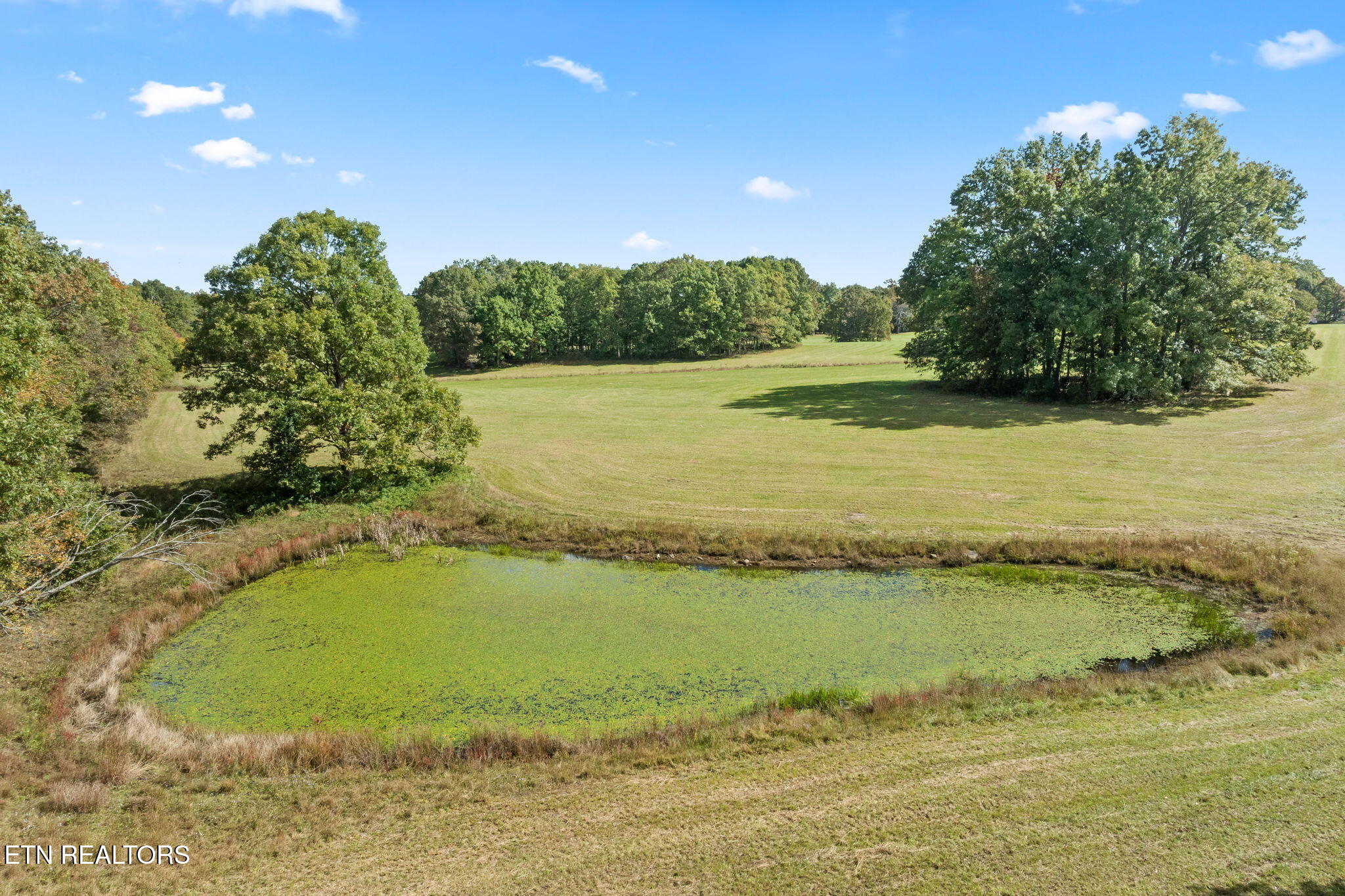 384 Miller Court Crossville TN 38571