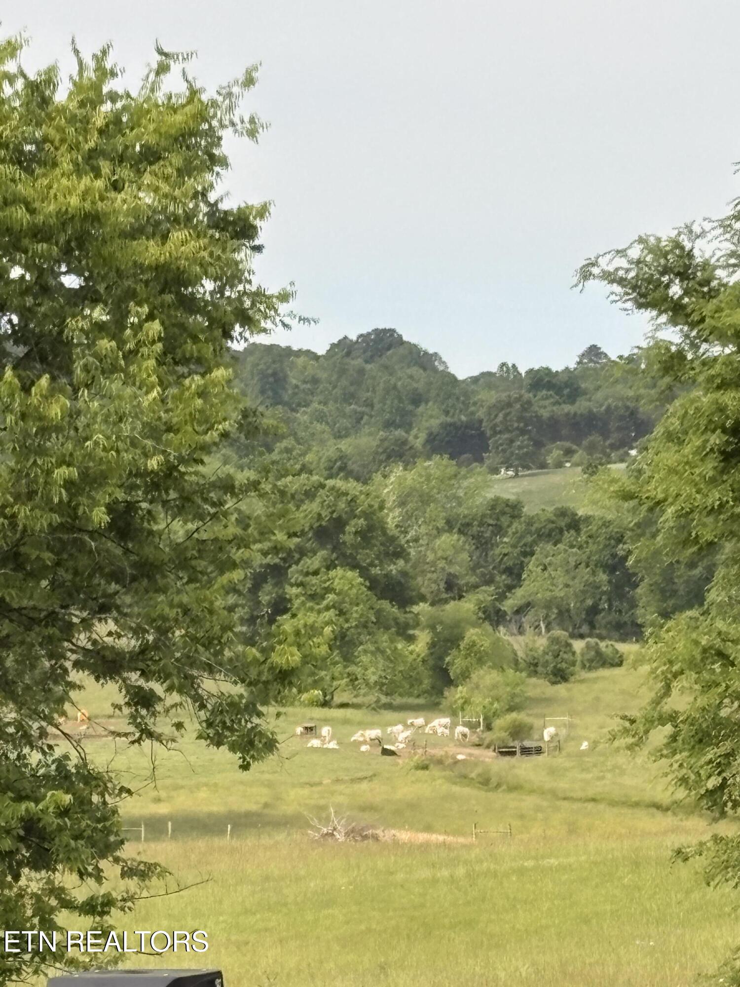 449 Foss Road Maryville TN 37801