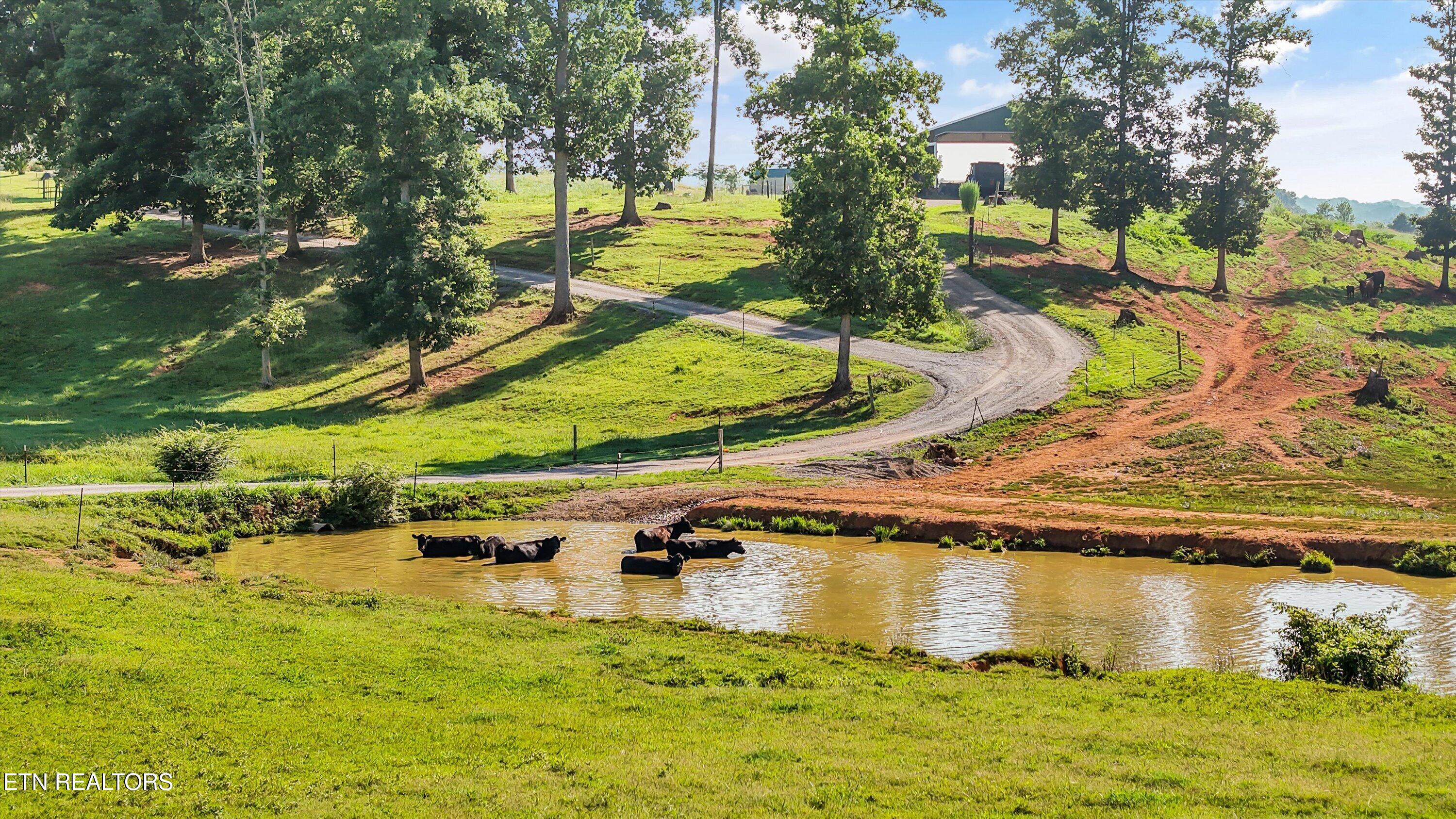 1250 Brick Mill Road Maryville TN 37801