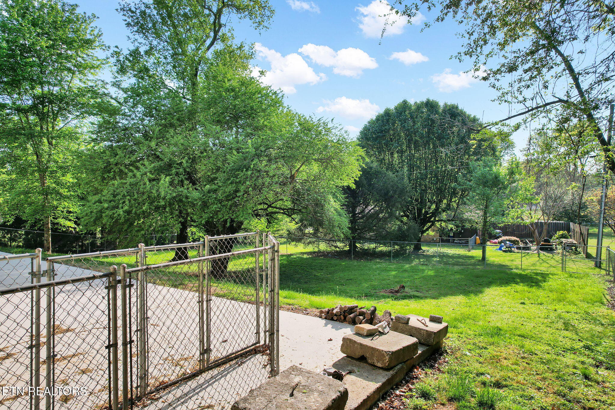 225 Laurel Drive Spring City TN 37381