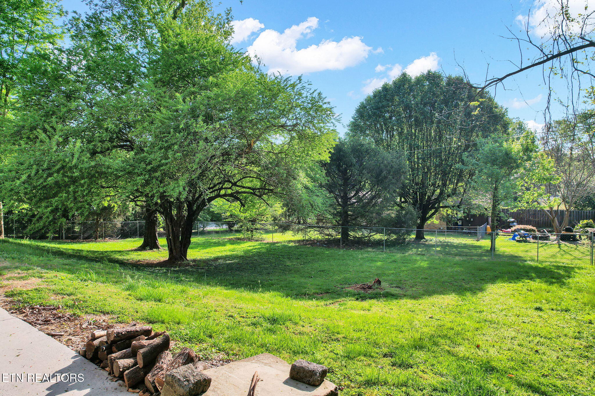 225 Laurel Drive Spring City TN 37381