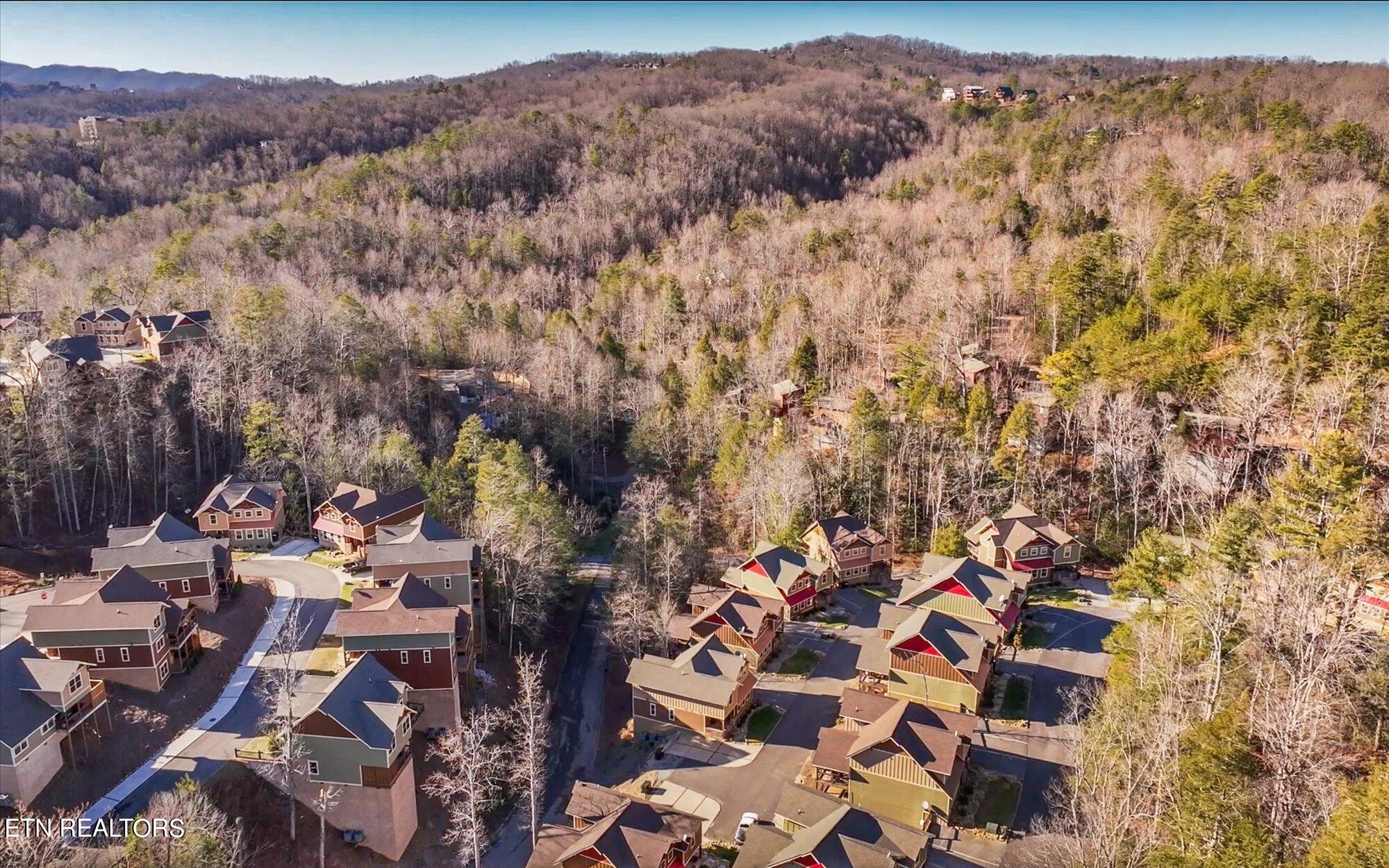 1210 Bianca Way Gatlinburg TN 37738