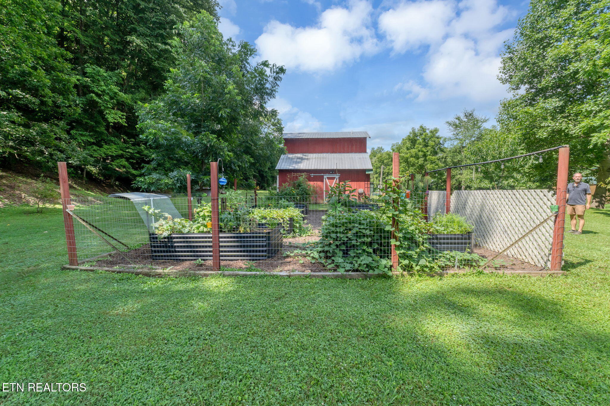 1484 Carrs Creek Road Townsend TN 37882