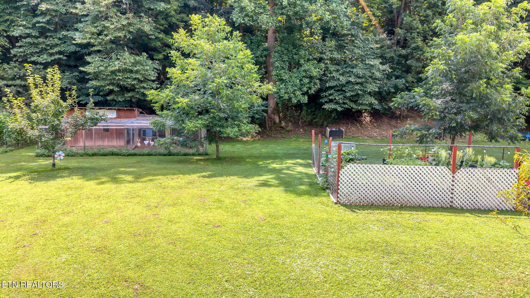 1484 Carrs Creek Road Townsend TN 37882