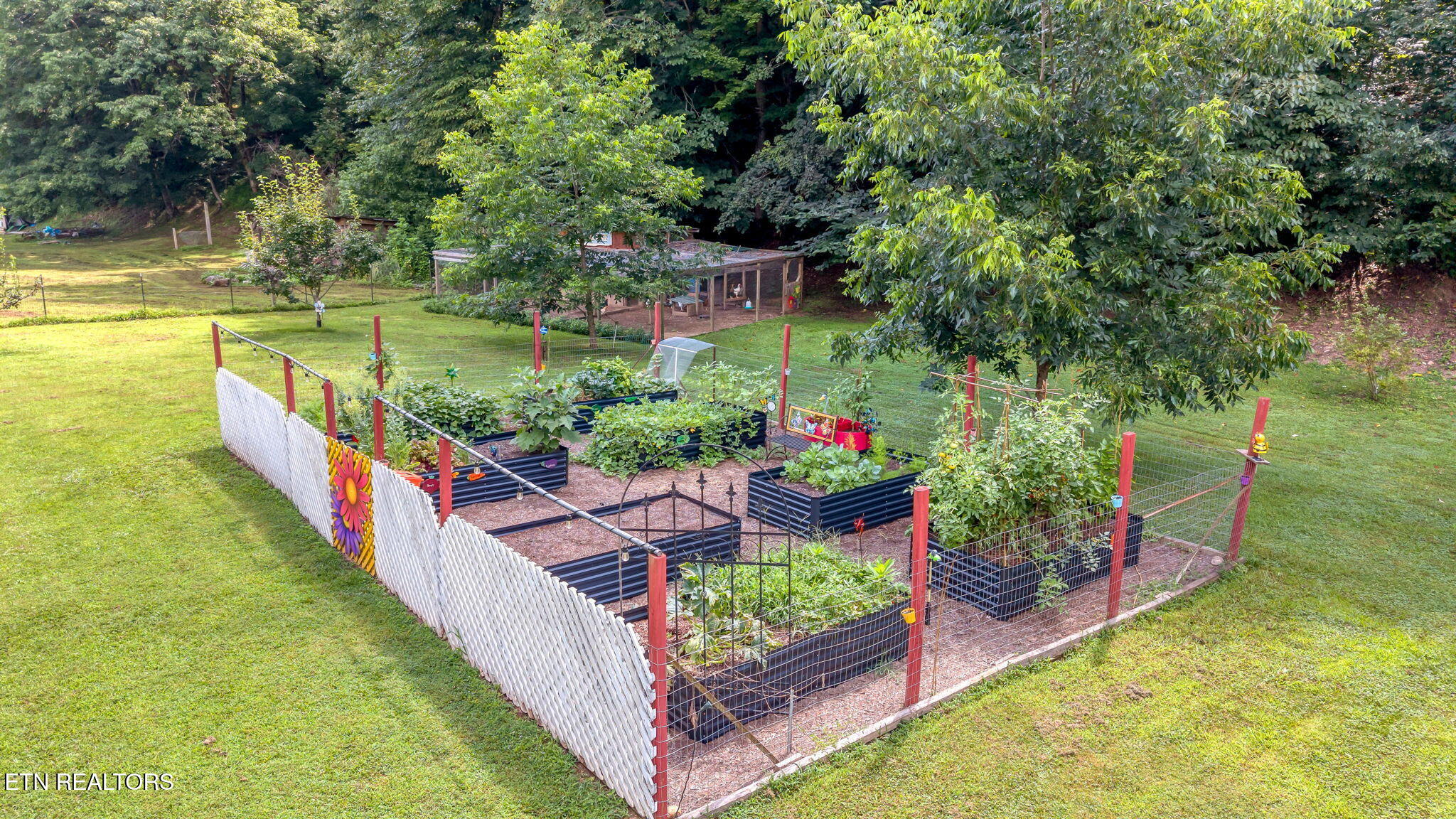 1484 Carrs Creek Road Townsend TN 37882