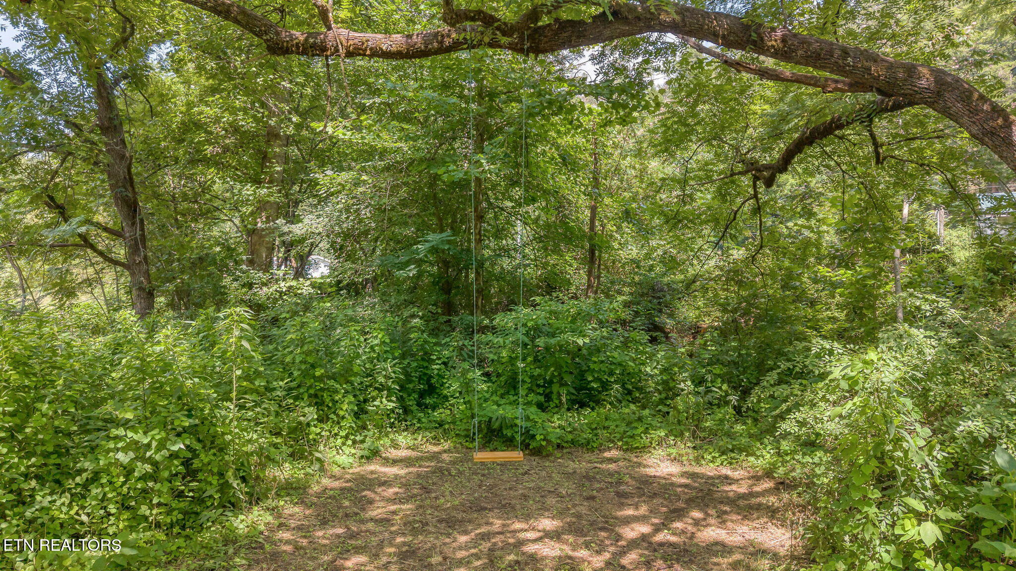 1484 Carrs Creek Road Townsend TN 37882
