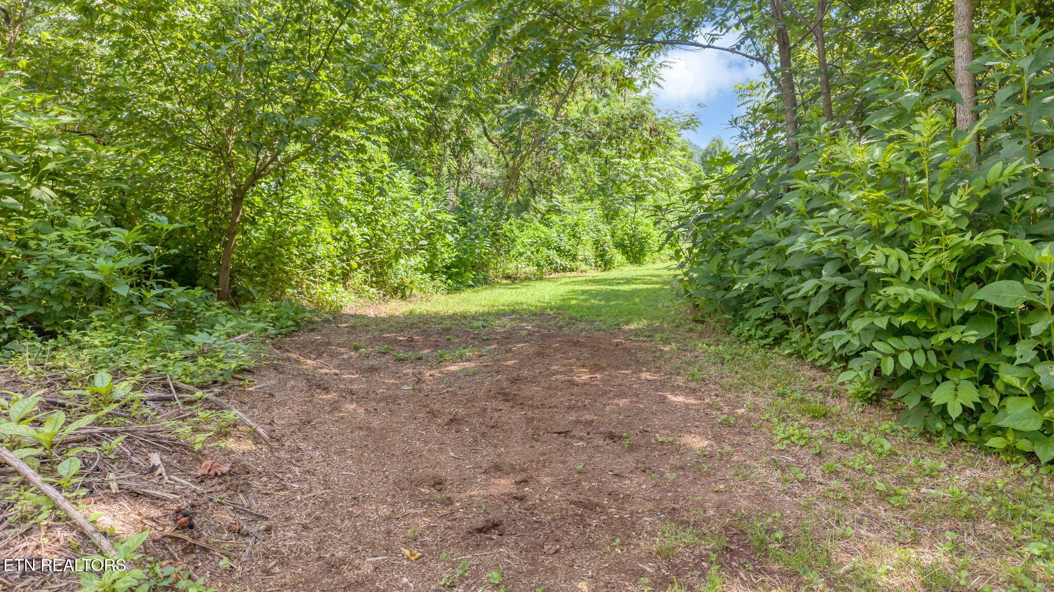 1484 Carrs Creek Road Townsend TN 37882