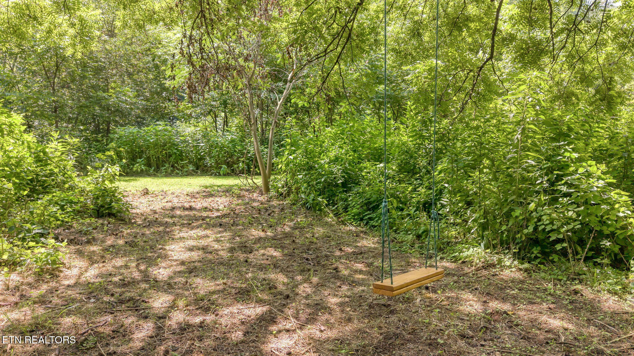 1484 Carrs Creek Road Townsend TN 37882