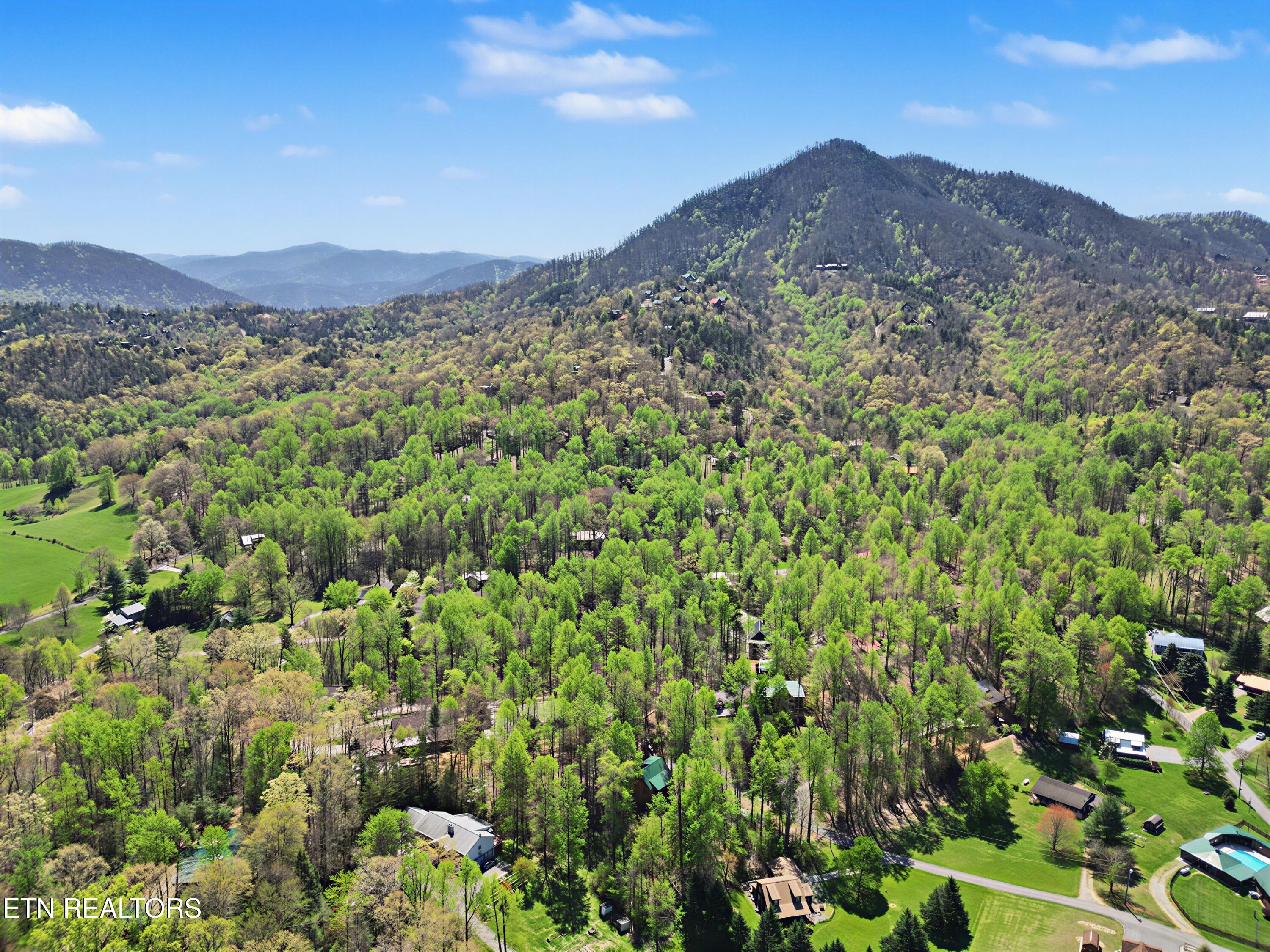 3421 Shelnutt Way Sevierville TN 37862